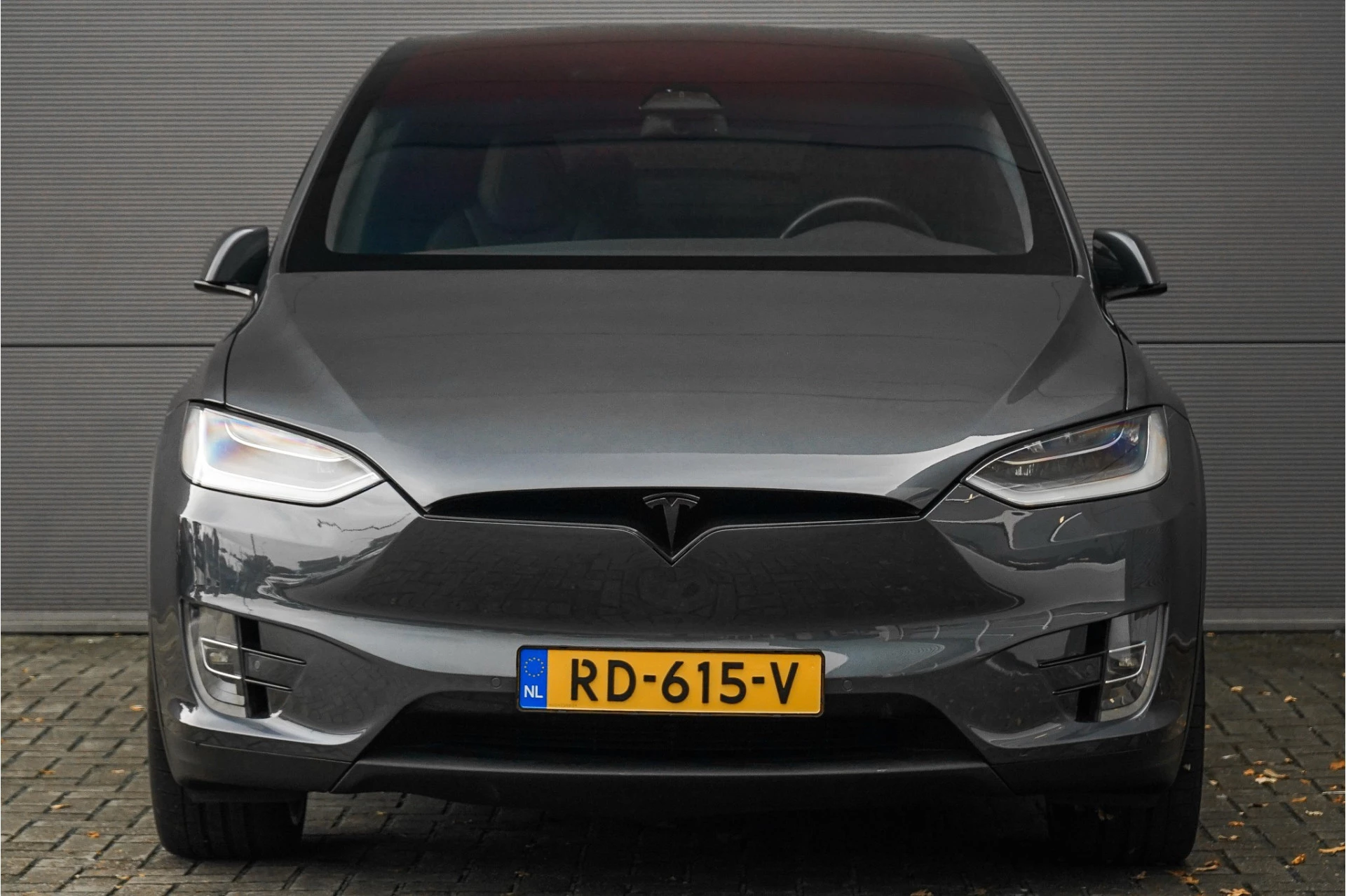 Hoofdafbeelding Tesla Model X