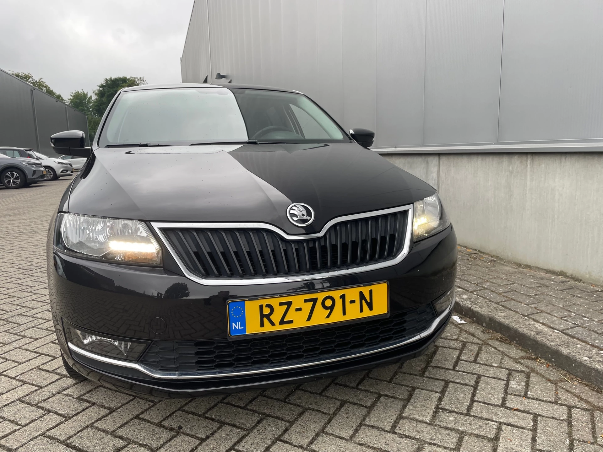 Hoofdafbeelding Škoda Rapid