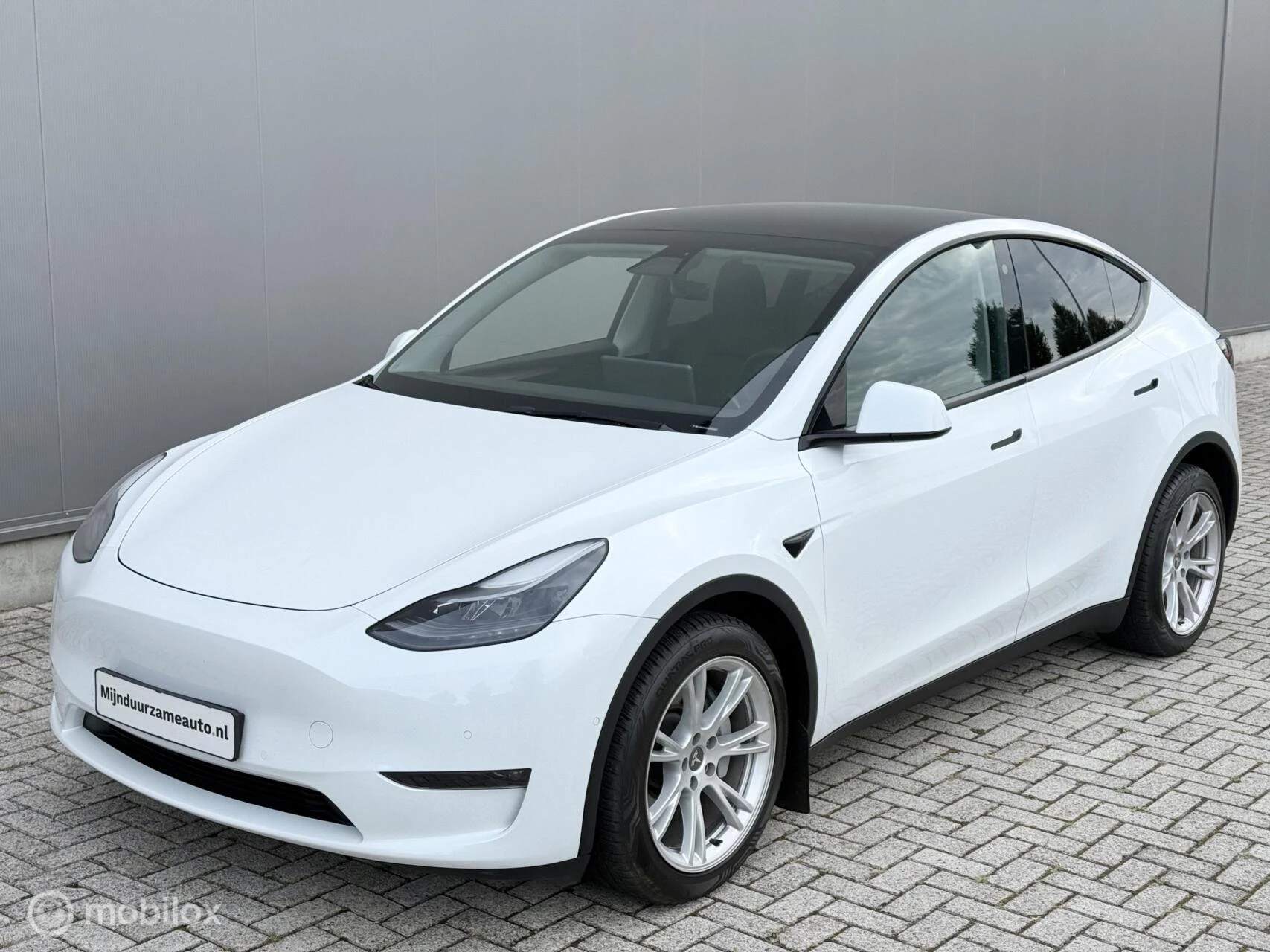 Hoofdafbeelding Tesla Model Y