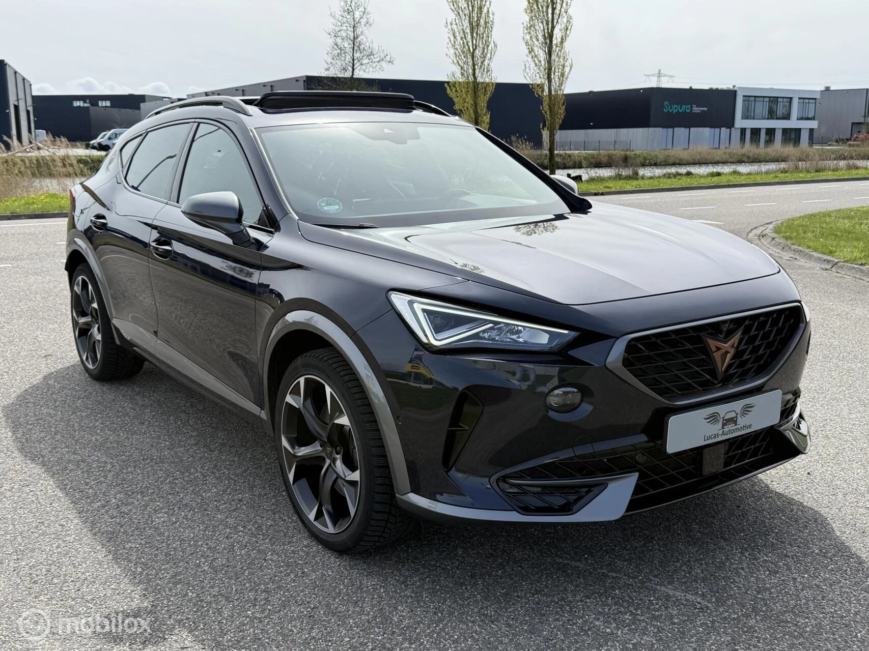 Hoofdafbeelding CUPRA Formentor