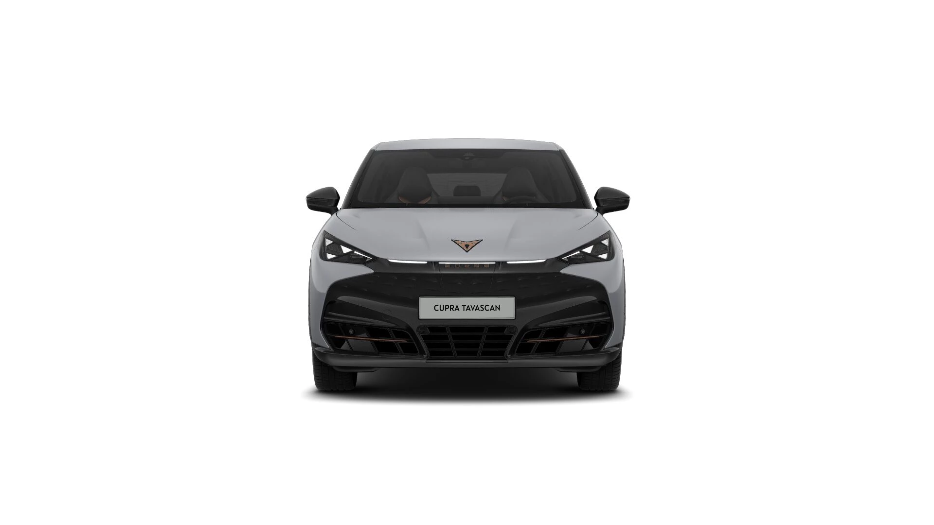 Hoofdafbeelding CUPRA Tavascan