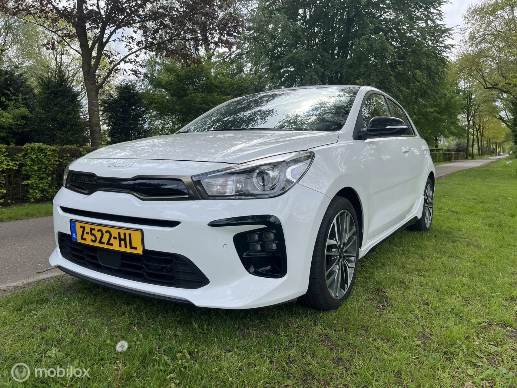 Hoofdafbeelding Kia Rio