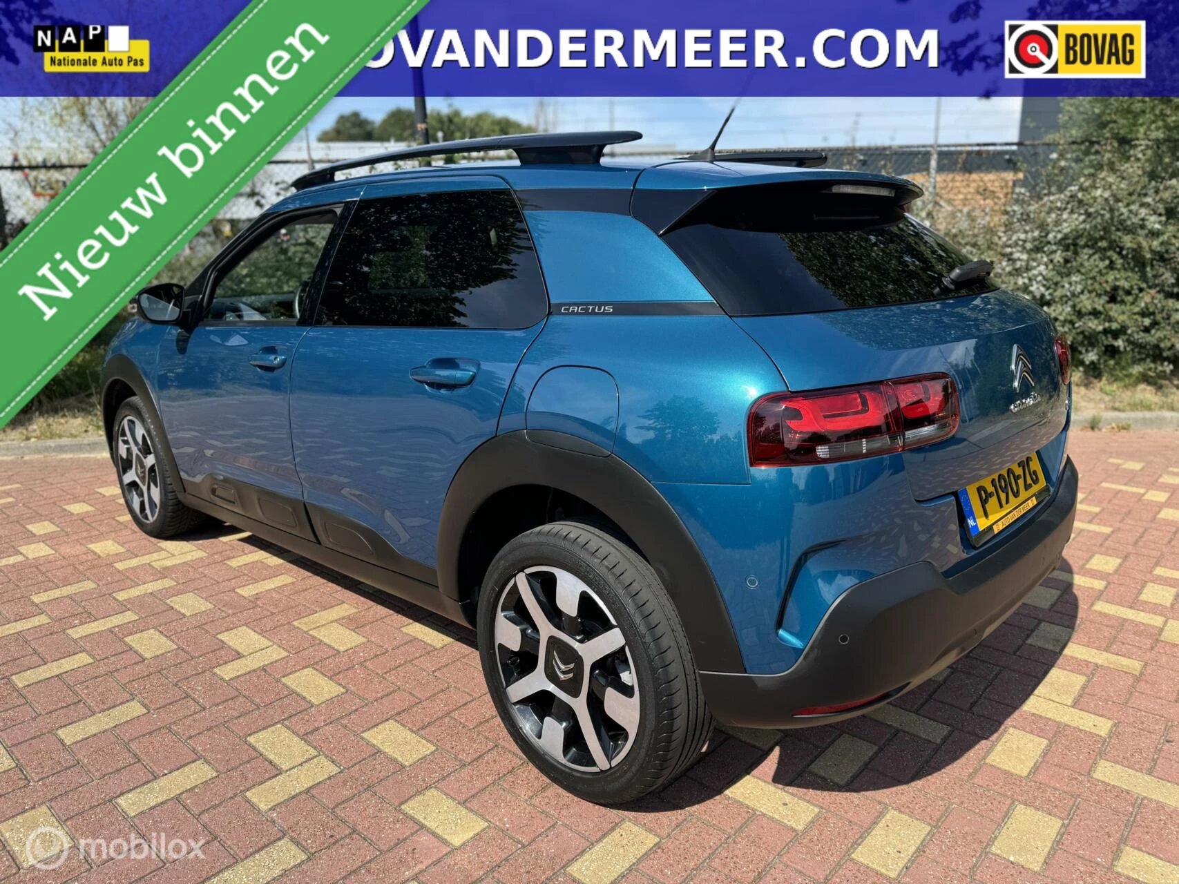 Hoofdafbeelding Citroën C4 Cactus