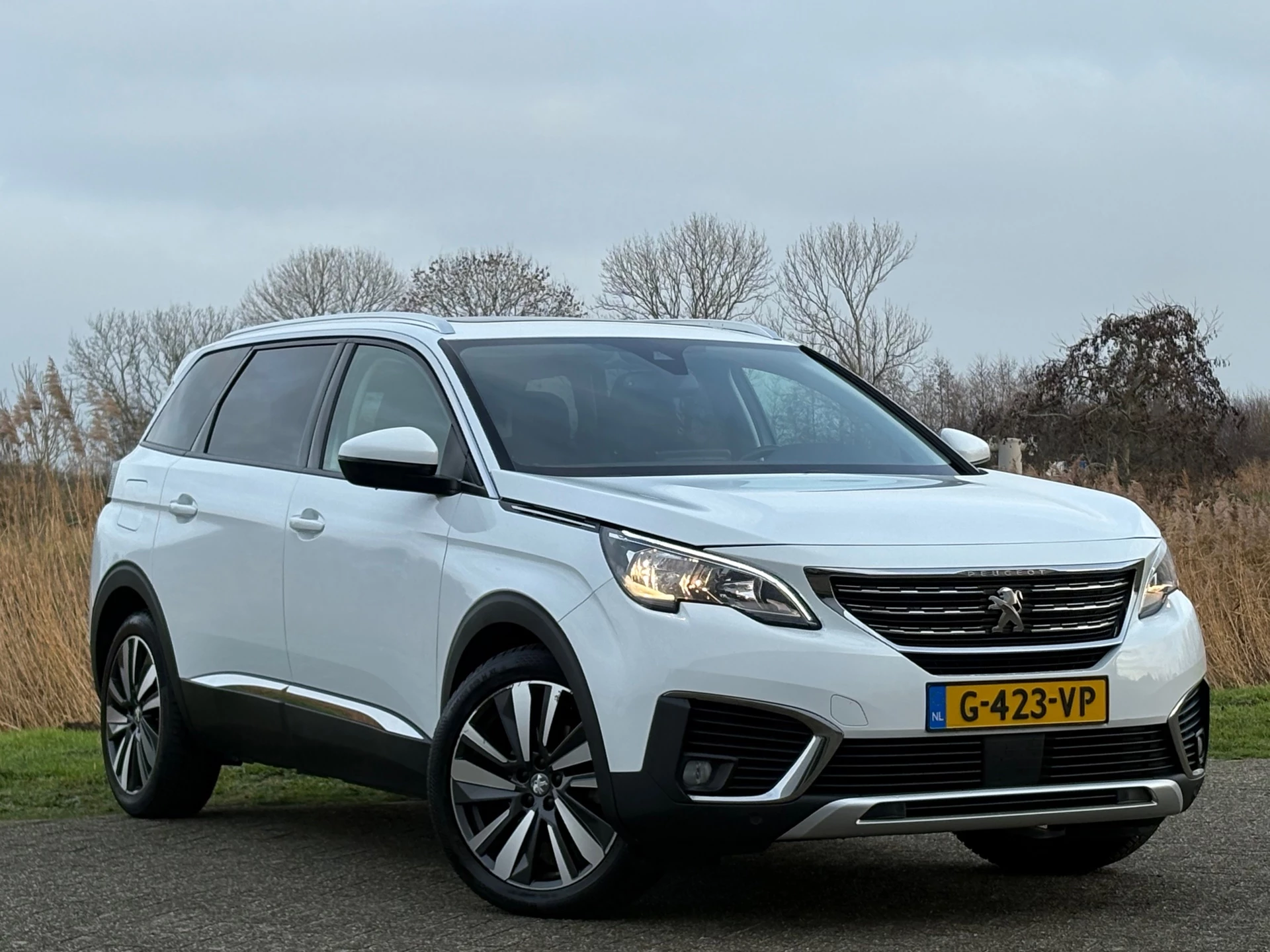 Hoofdafbeelding Peugeot 5008