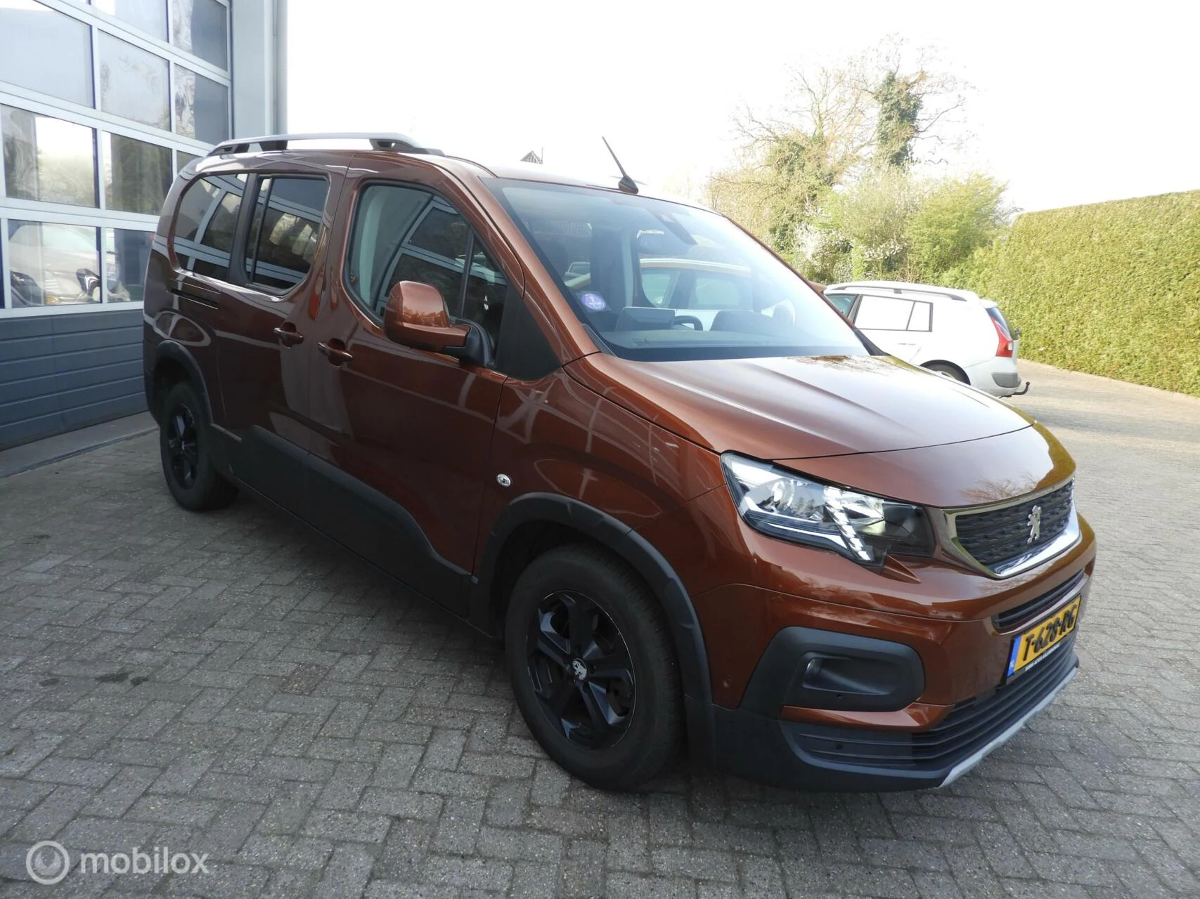 Hoofdafbeelding Peugeot Rifter