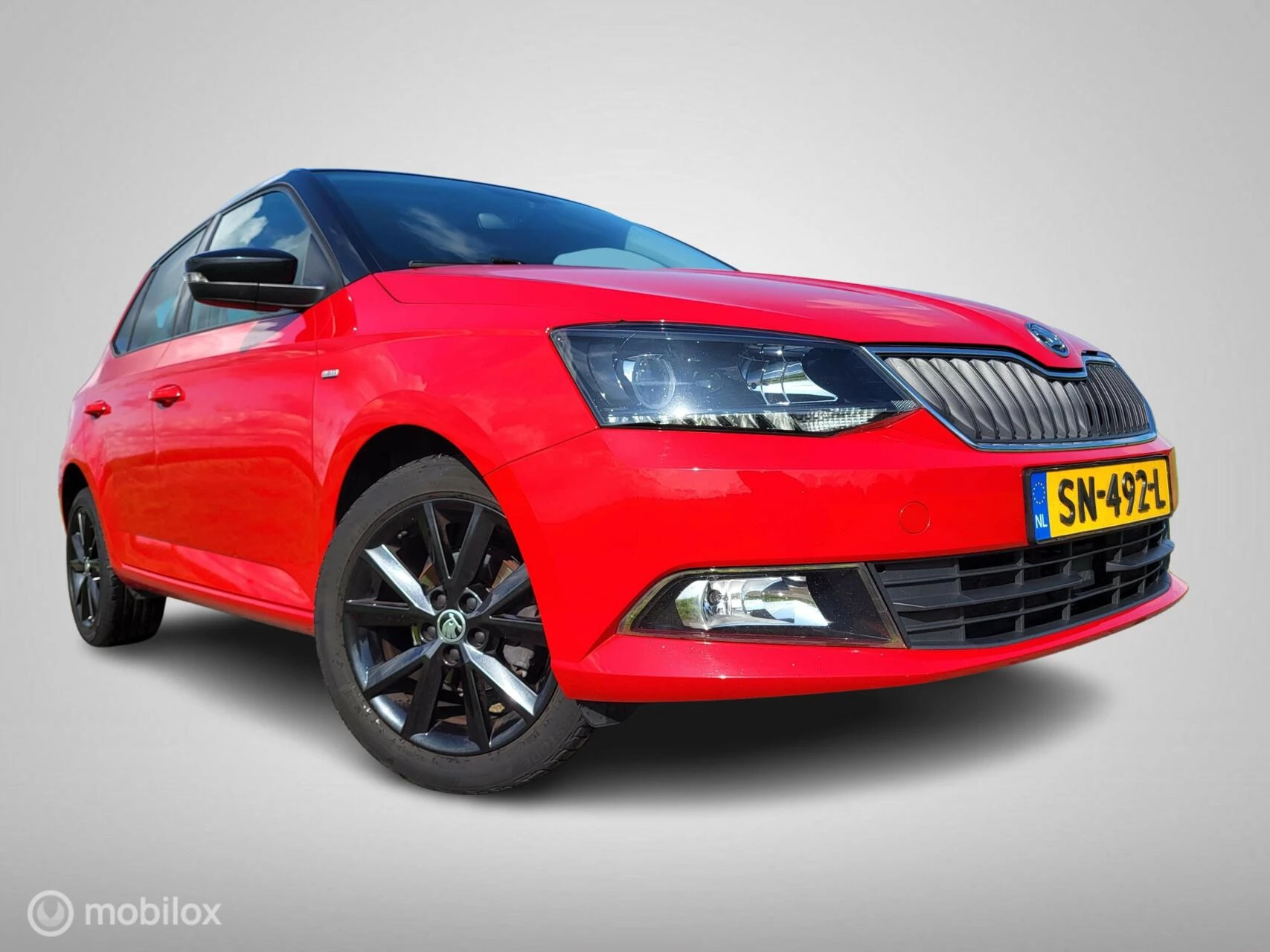 Hoofdafbeelding Škoda Fabia