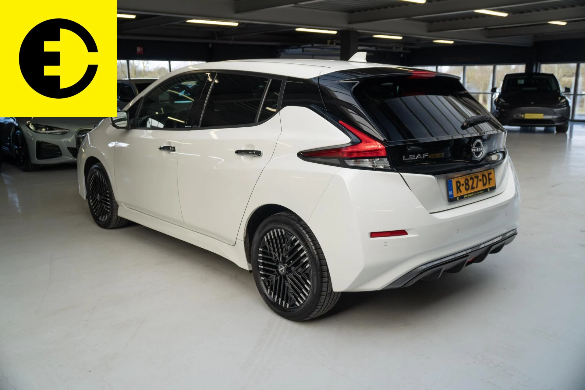 Hoofdafbeelding Nissan Leaf