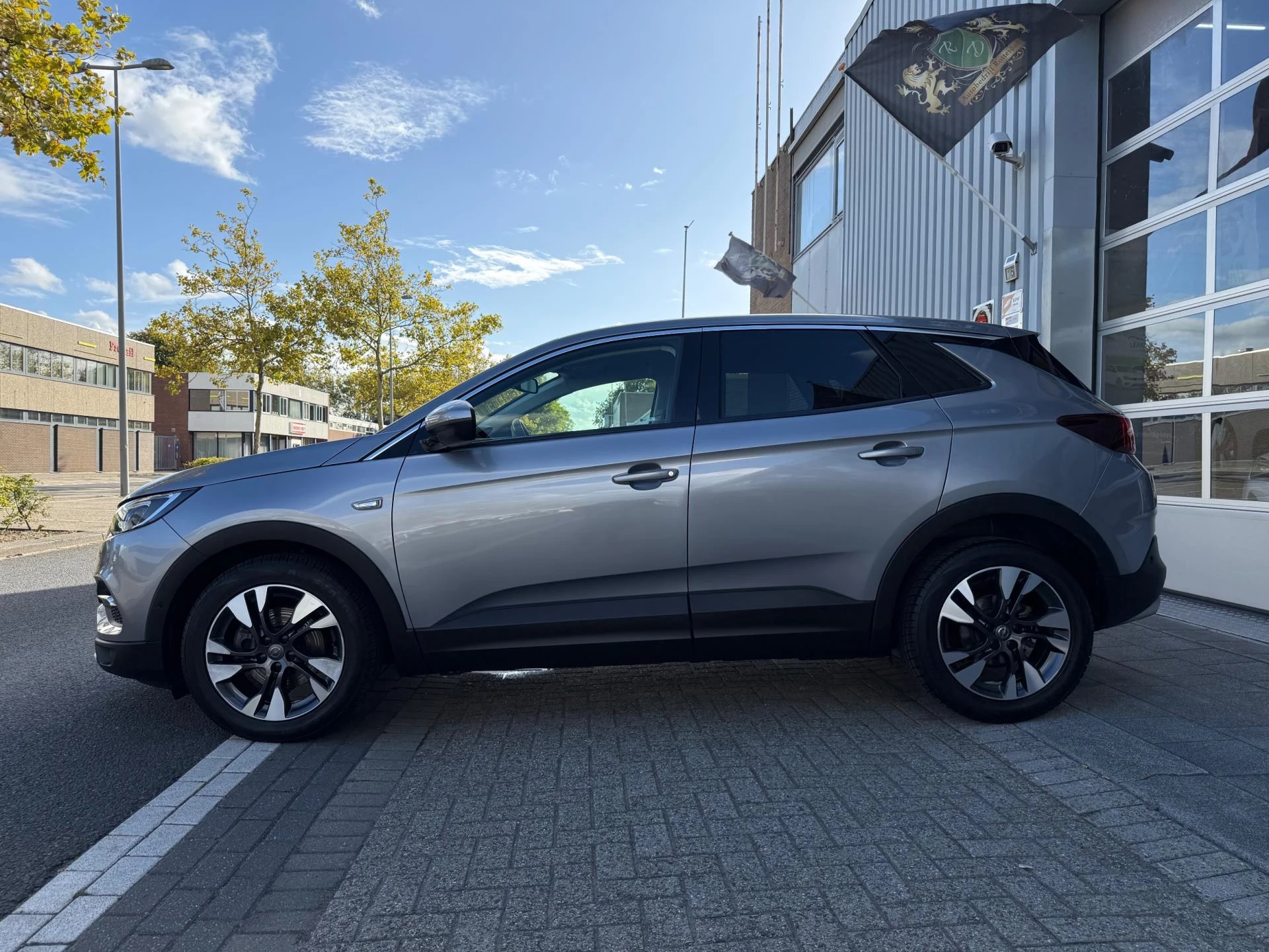 Hoofdafbeelding Opel Grandland X