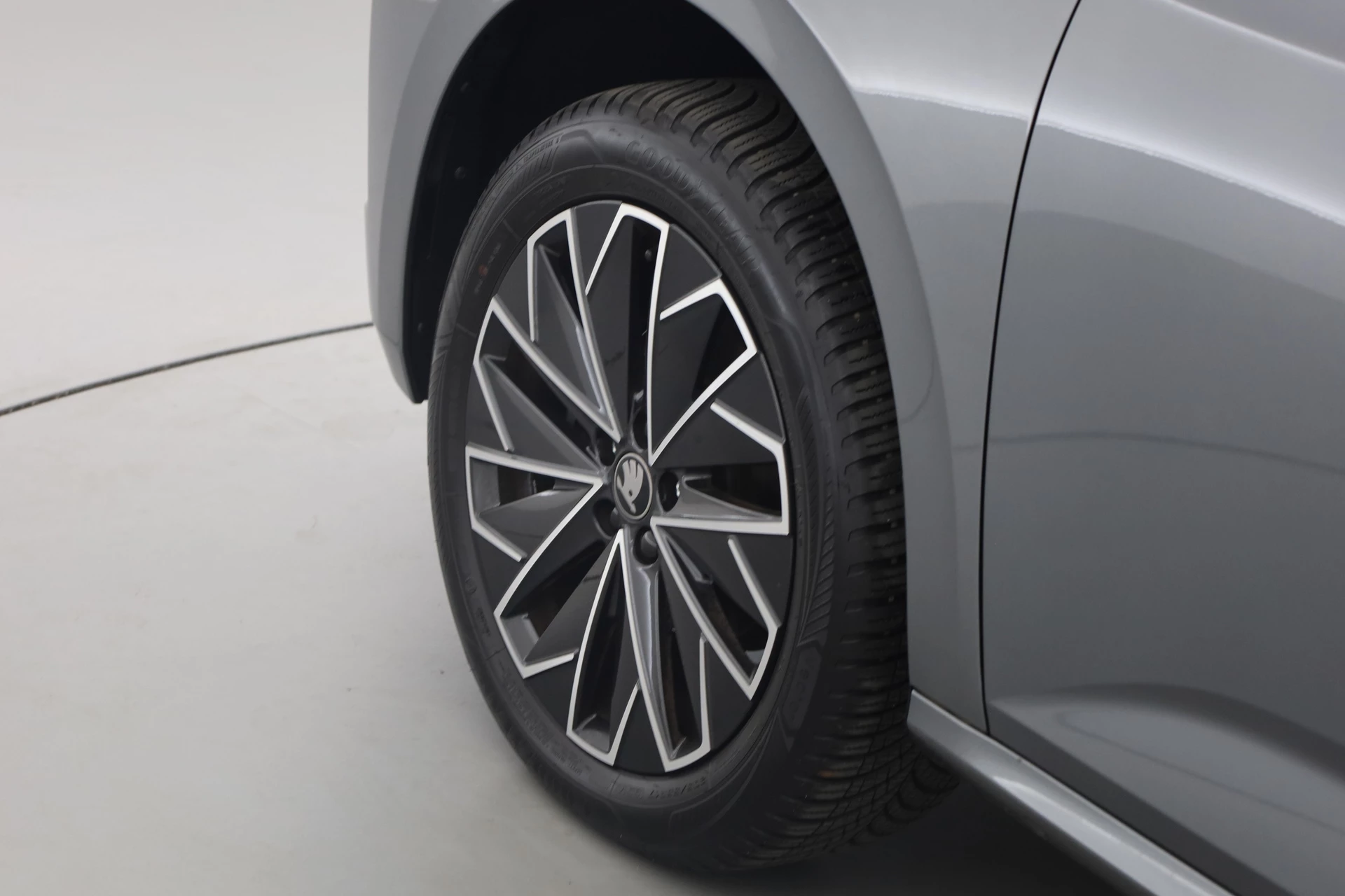 Hoofdafbeelding Škoda Kamiq