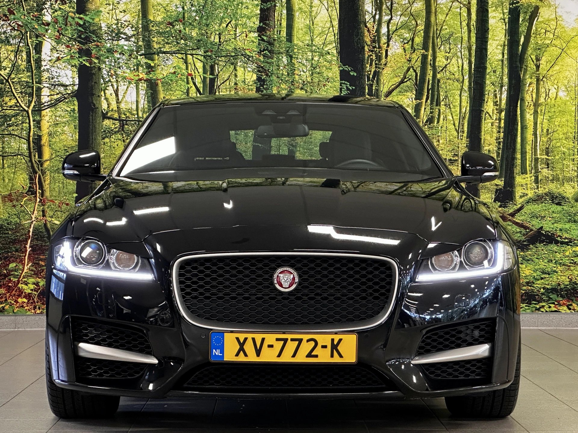 Hoofdafbeelding Jaguar XF