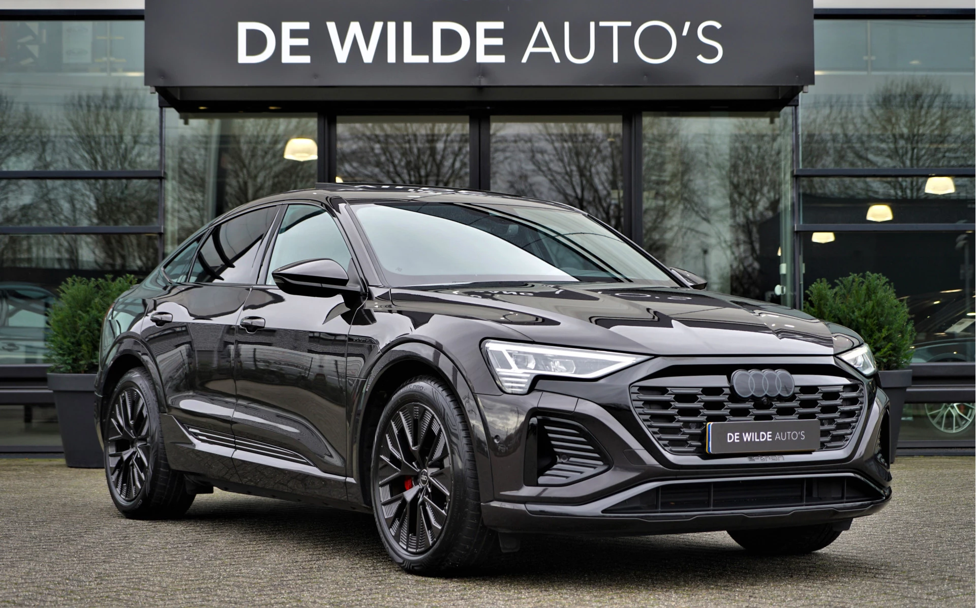 Hoofdafbeelding Audi Q8 Sportback e-tron