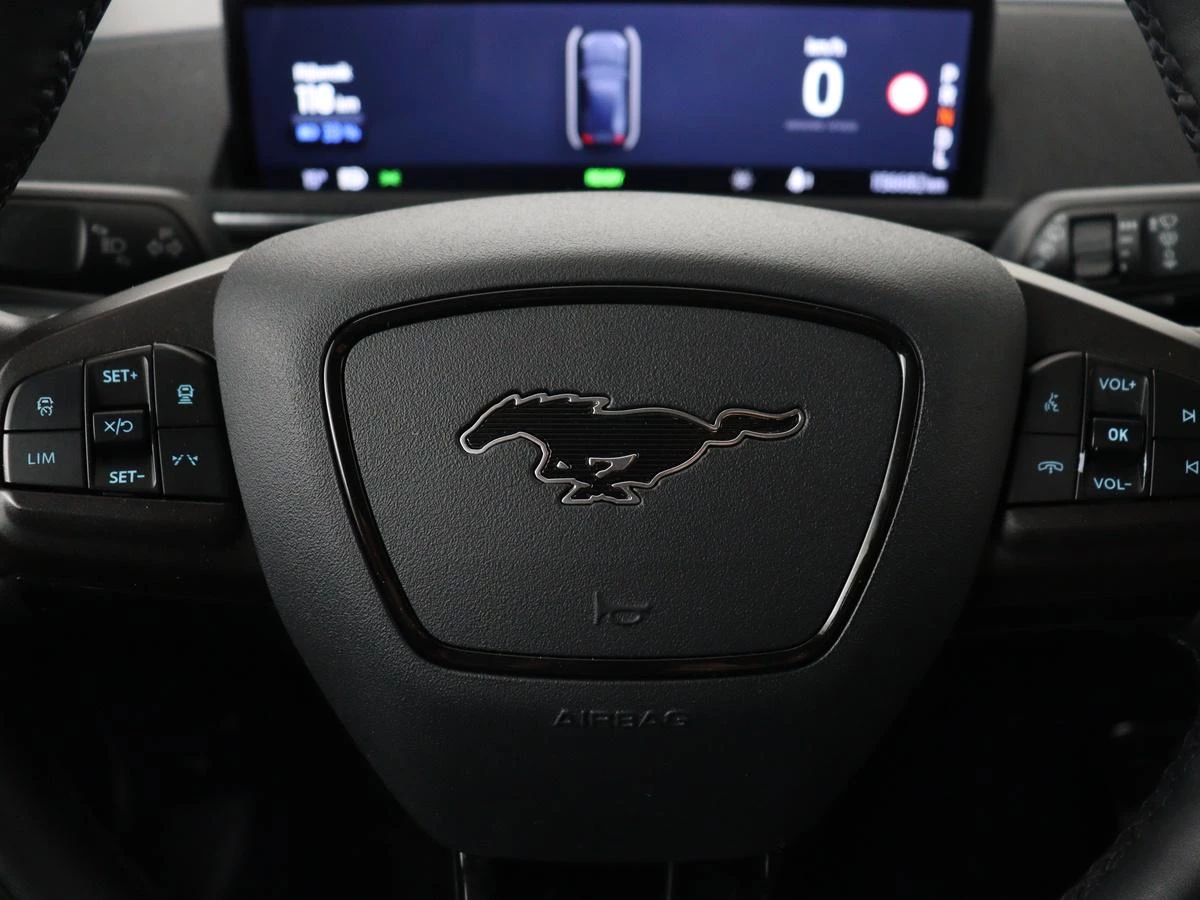 Hoofdafbeelding Ford Mustang Mach-E