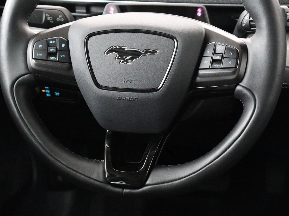 Hoofdafbeelding Ford Mustang Mach-E