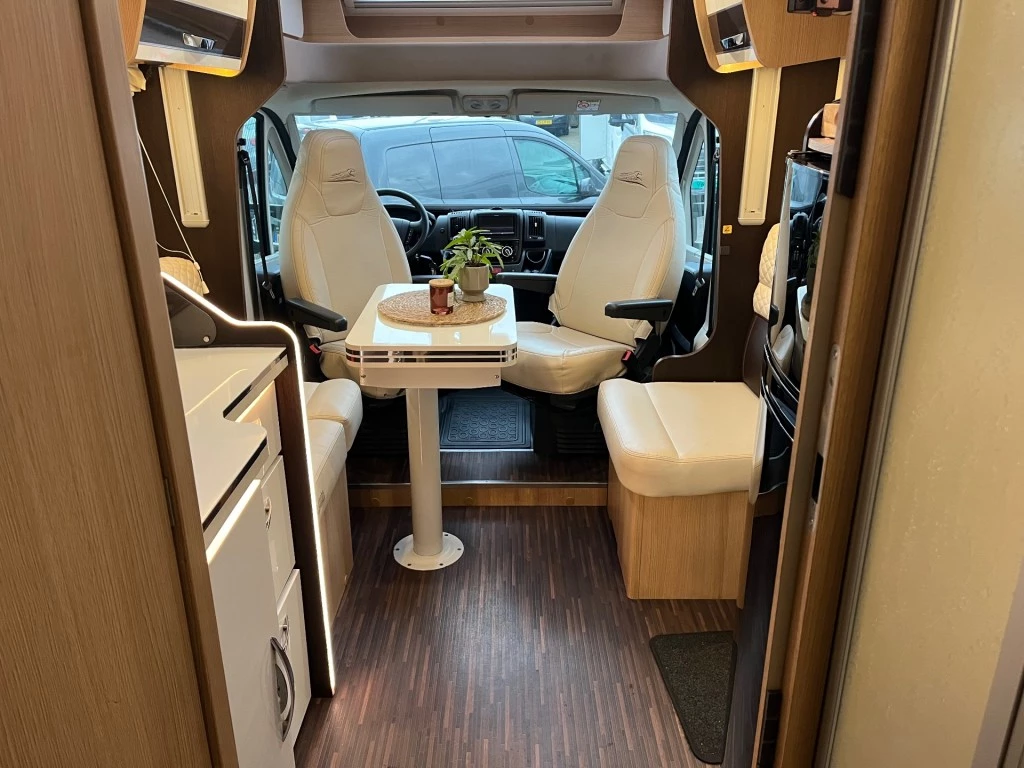 Hoofdafbeelding McLouis YEARLING