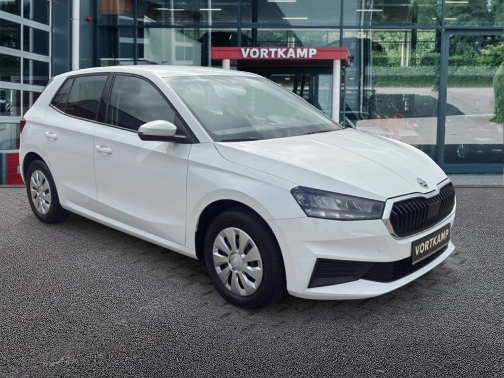 Hoofdafbeelding Škoda Fabia