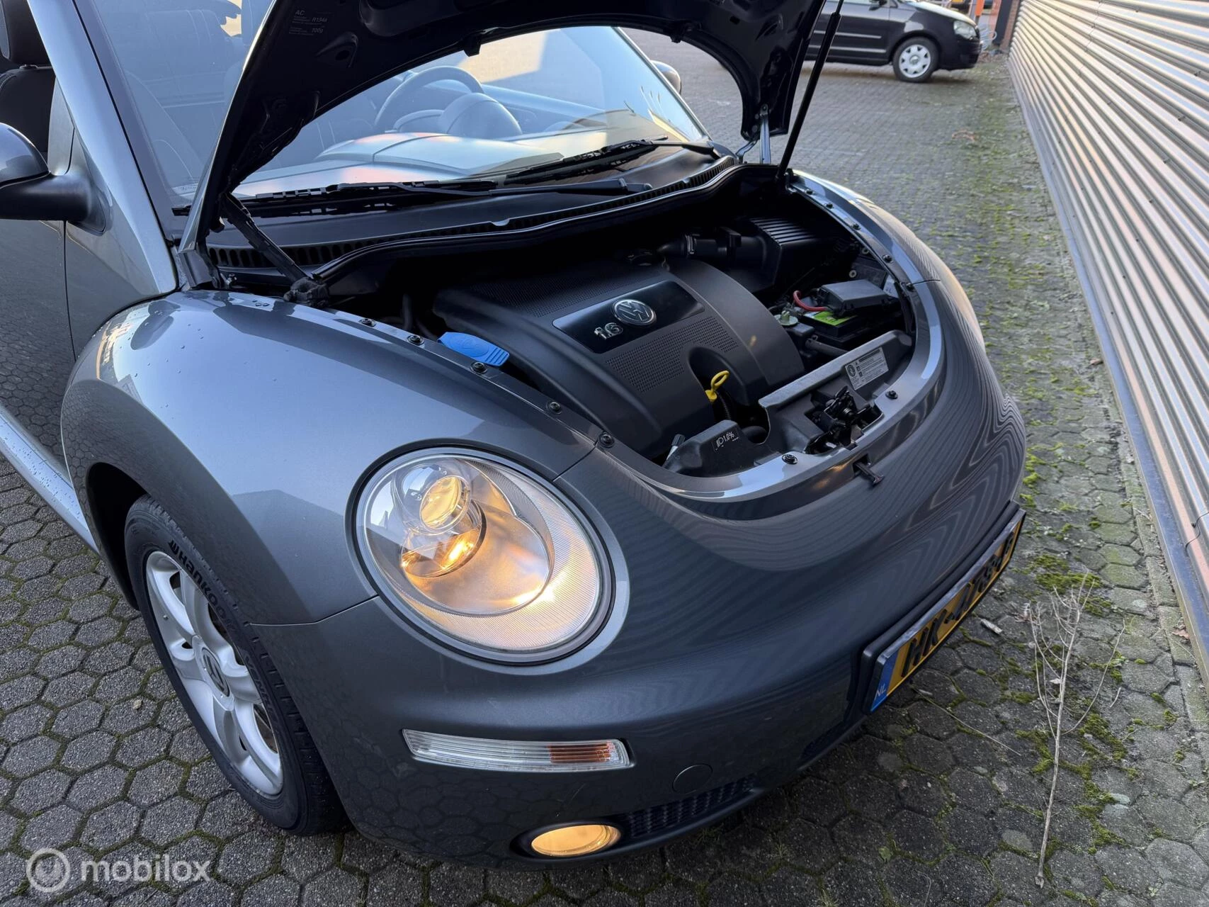 Hoofdafbeelding Volkswagen New Beetle