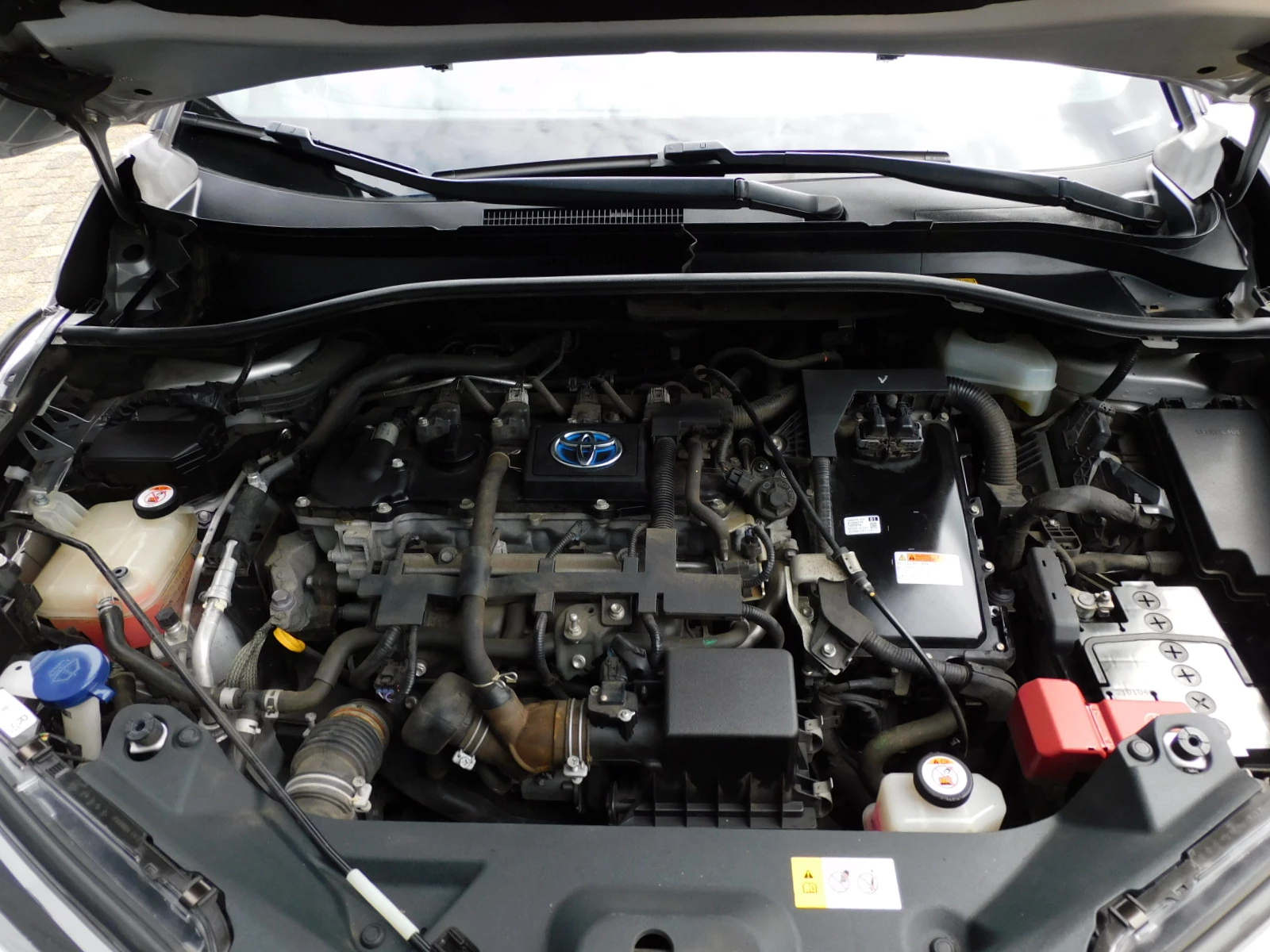 Hoofdafbeelding Toyota C-HR