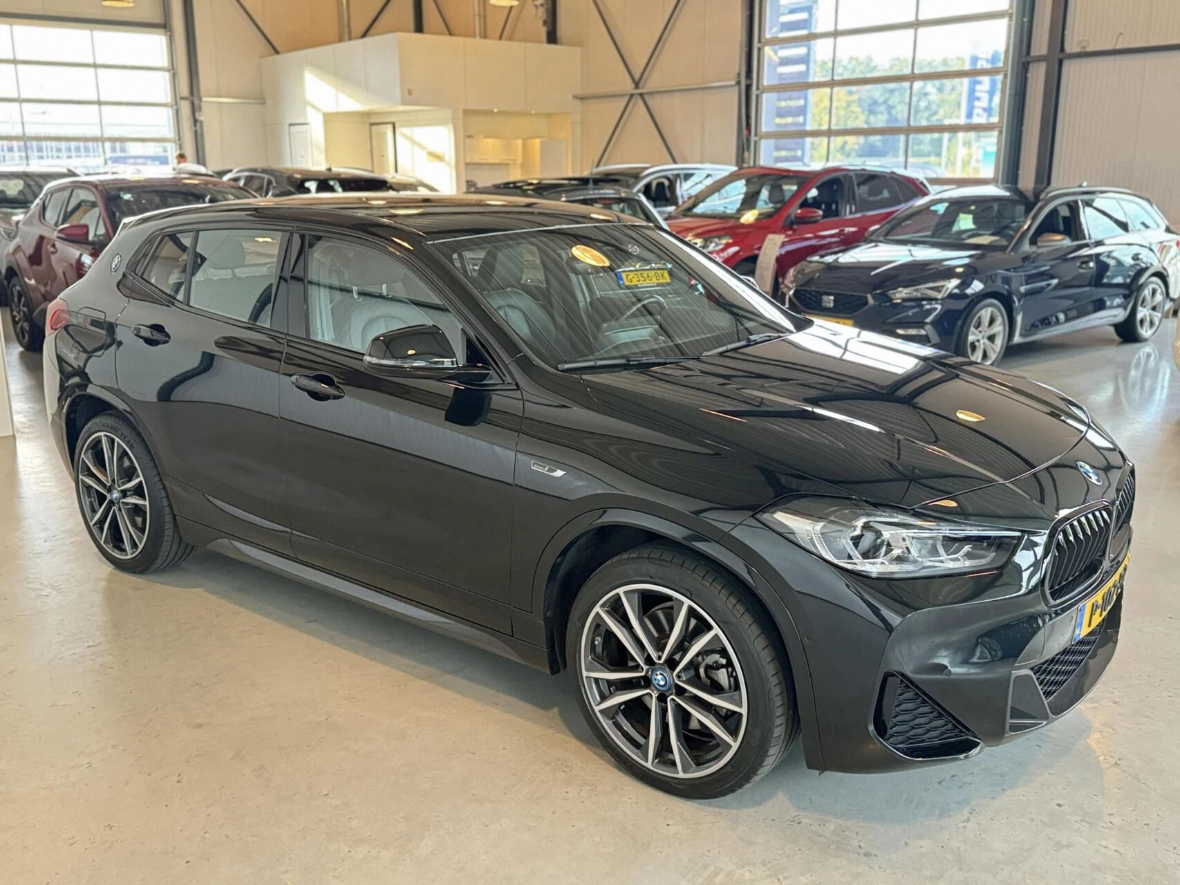 Hoofdafbeelding BMW X2