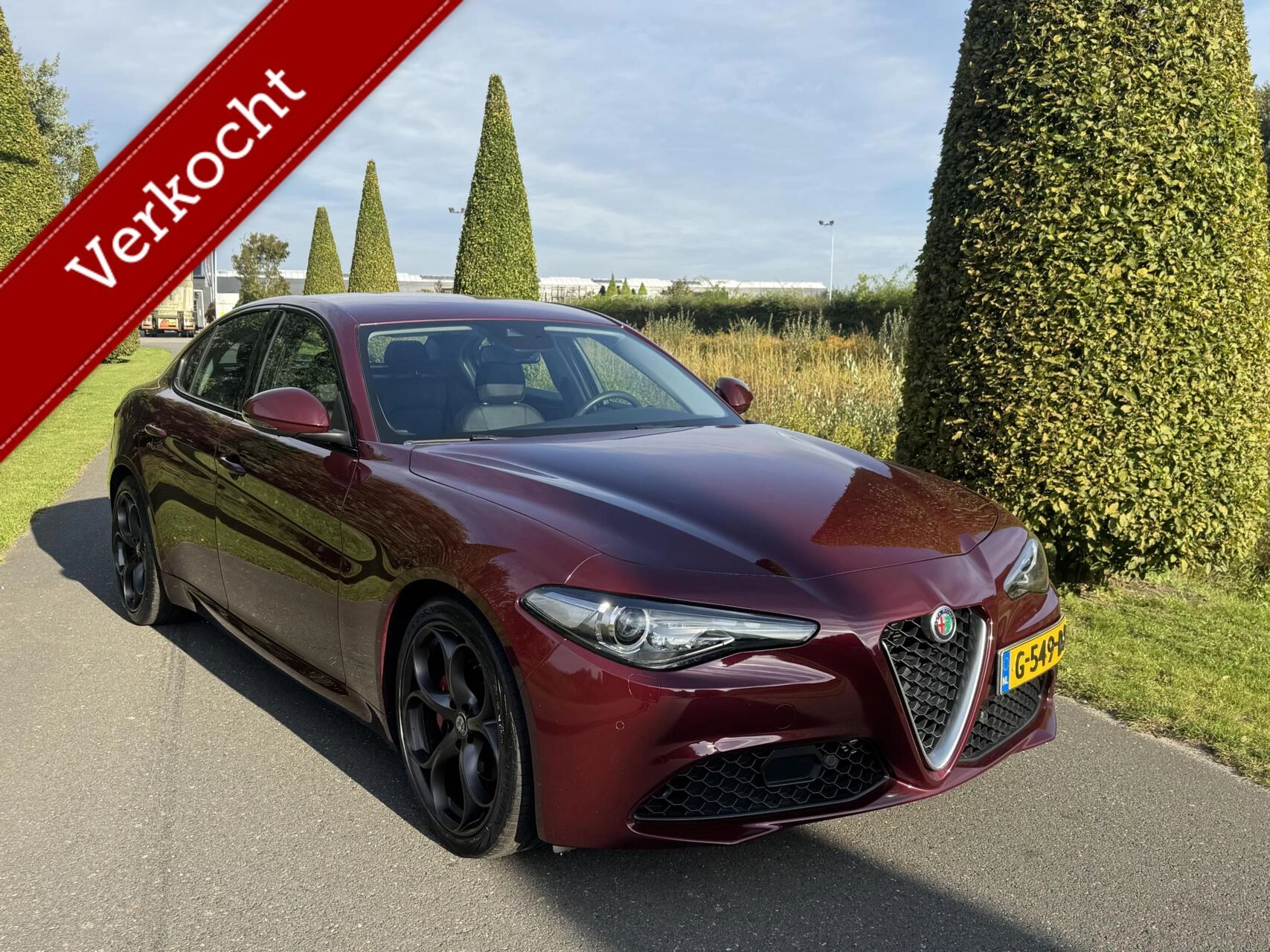 Hoofdafbeelding Alfa Romeo Giulia