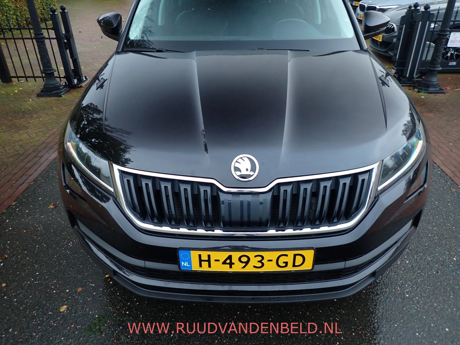 Hoofdafbeelding Škoda Kodiaq