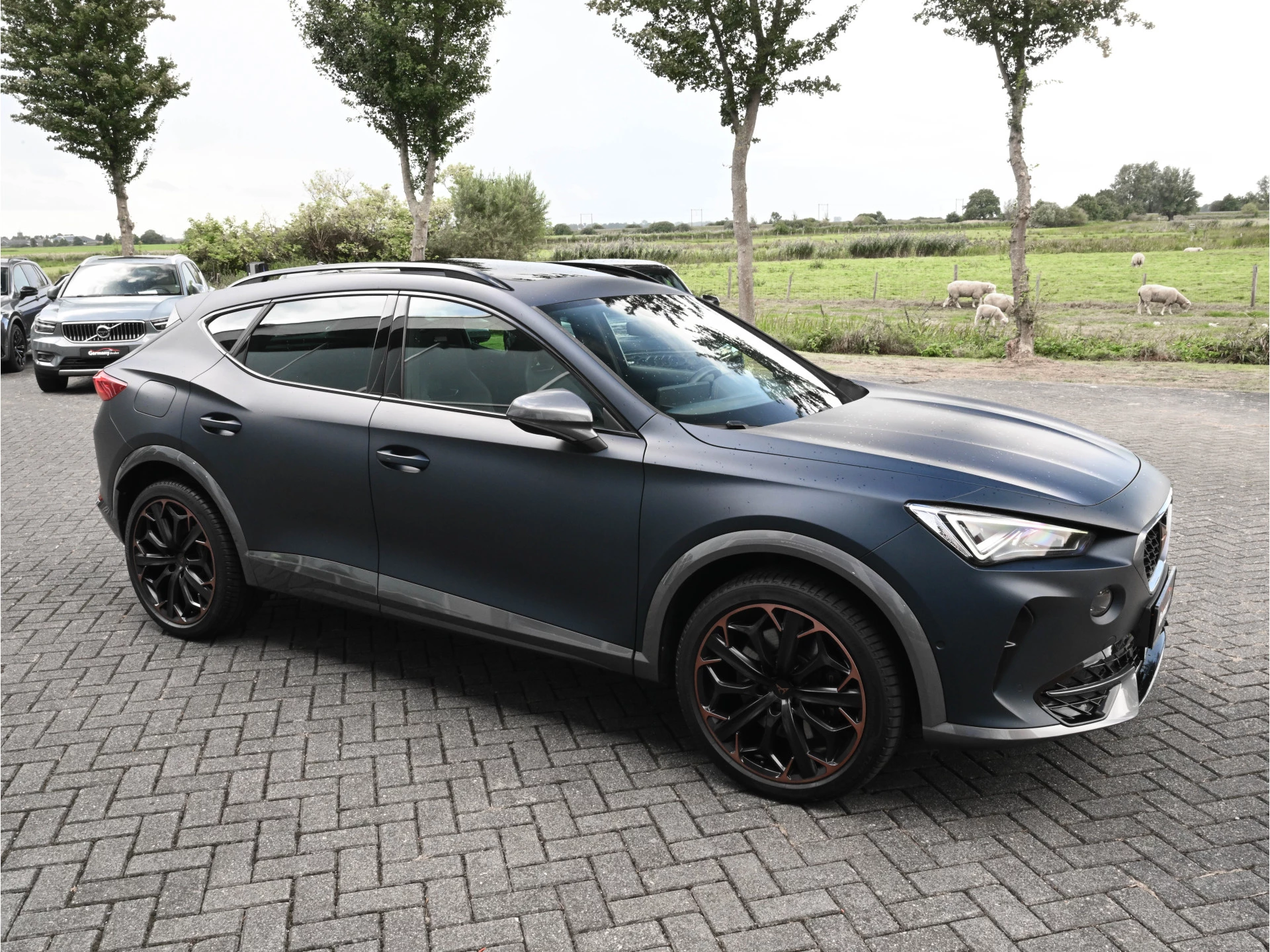 Hoofdafbeelding CUPRA Formentor