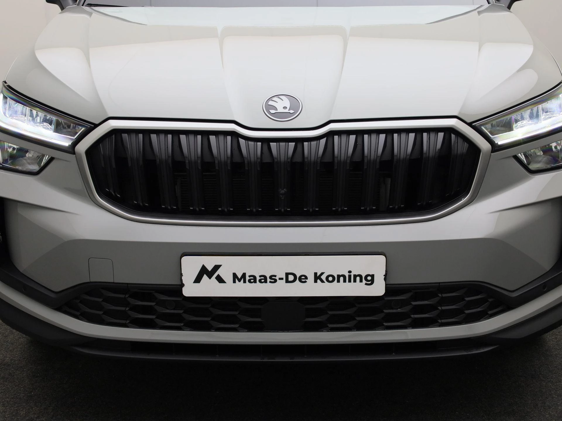 Hoofdafbeelding Škoda Kodiaq
