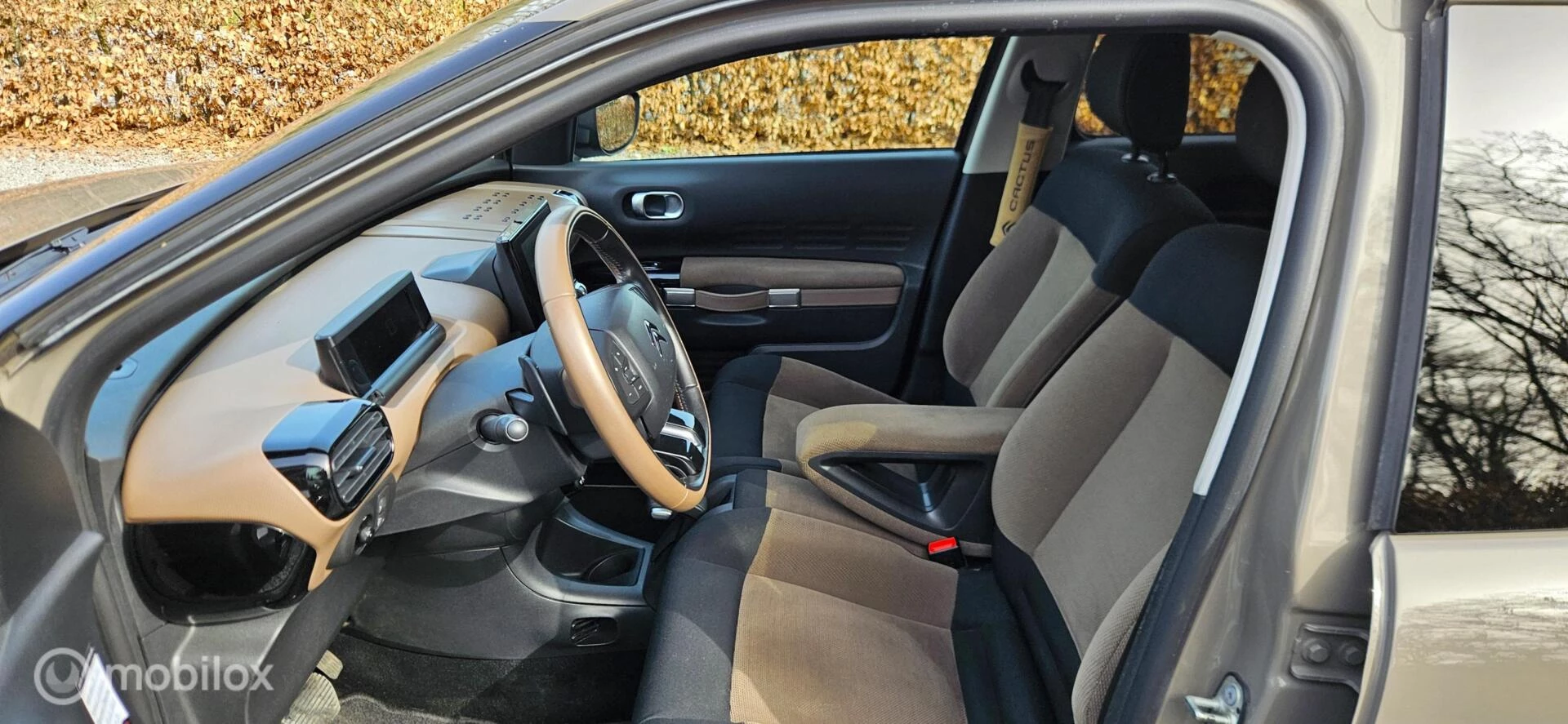 Hoofdafbeelding Citroën C4 Cactus