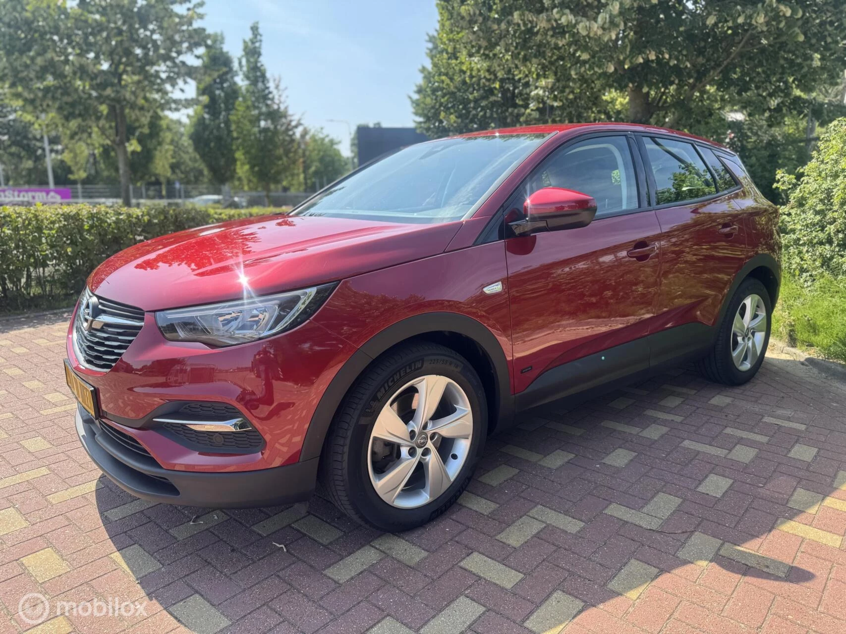 Hoofdafbeelding Opel Grandland X