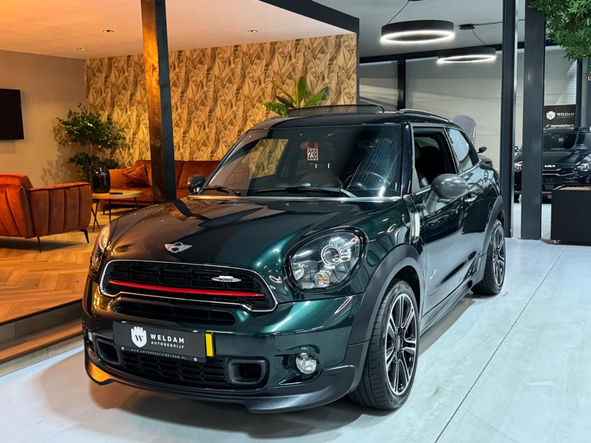 Hoofdafbeelding MINI Paceman