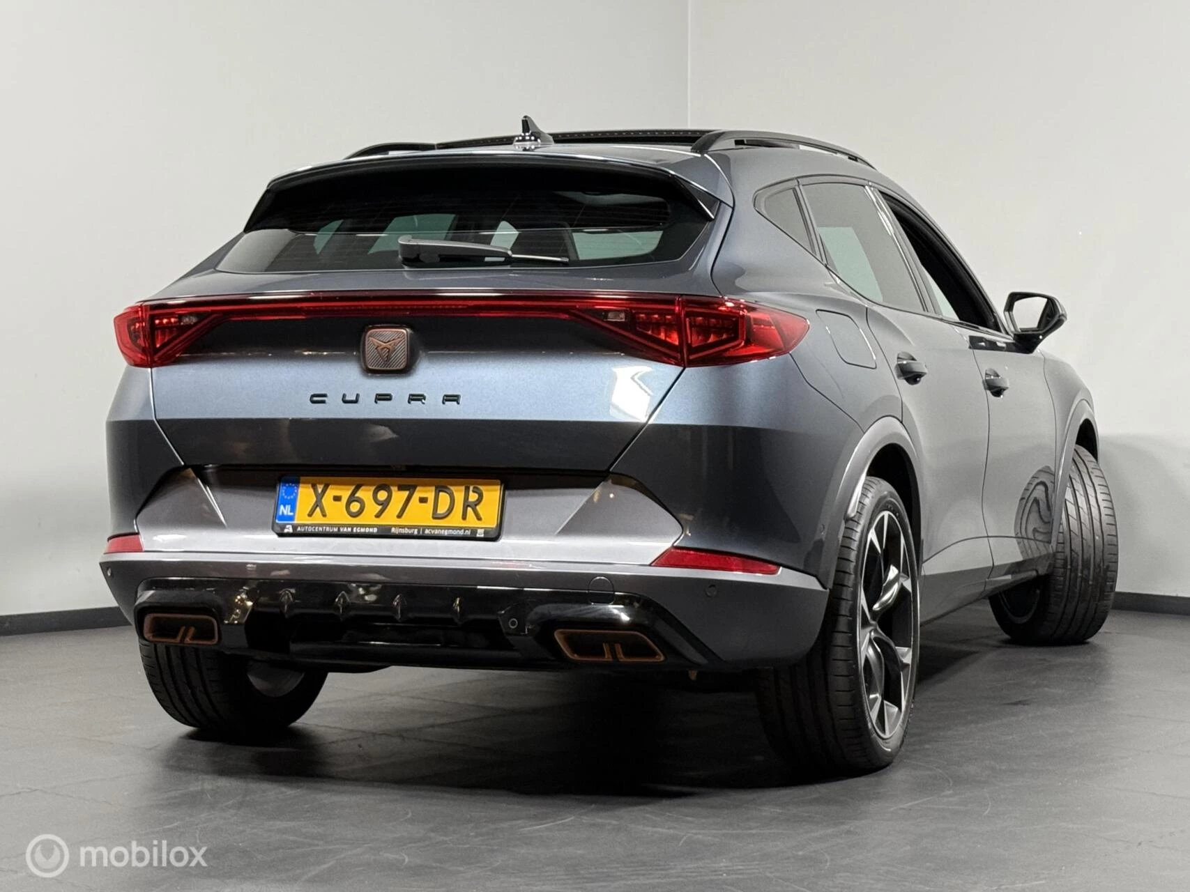 Hoofdafbeelding CUPRA Formentor