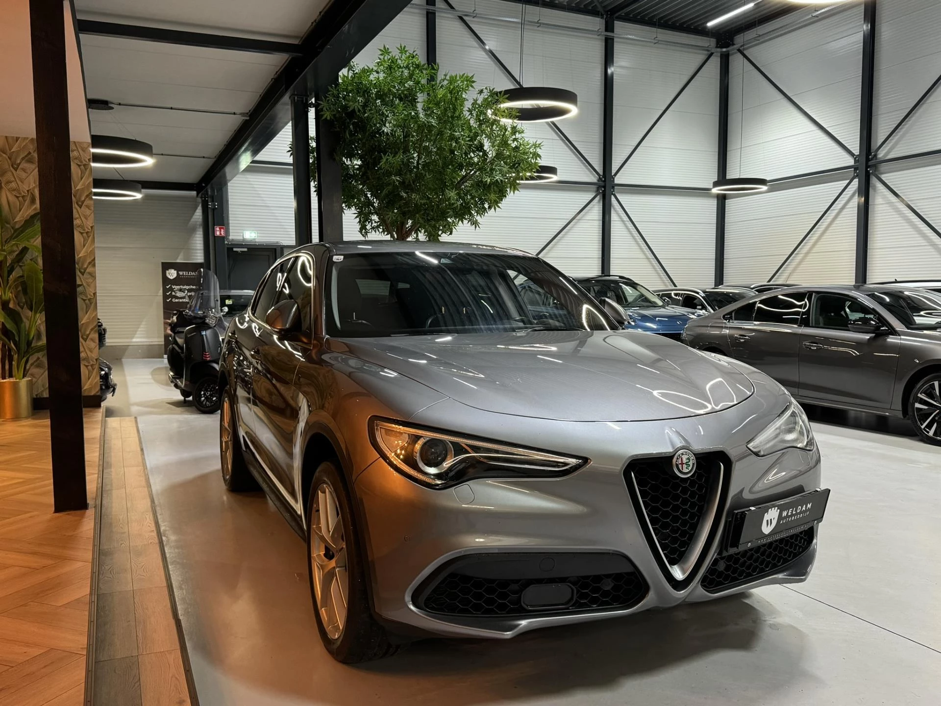 Hoofdafbeelding Alfa Romeo Stelvio