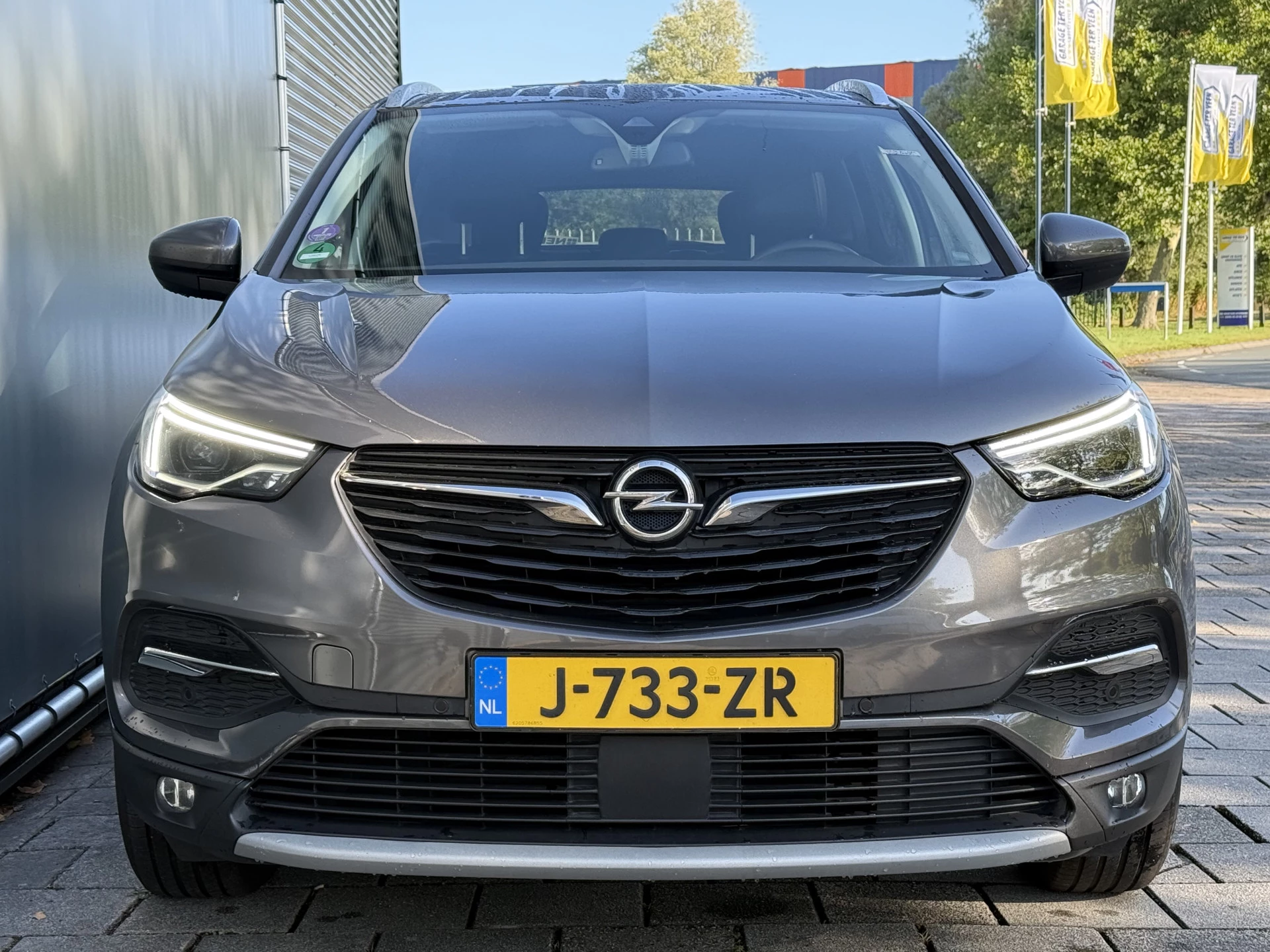 Hoofdafbeelding Opel Grandland X