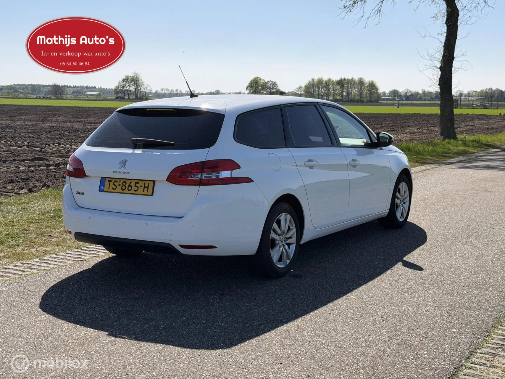 Hoofdafbeelding Peugeot 308