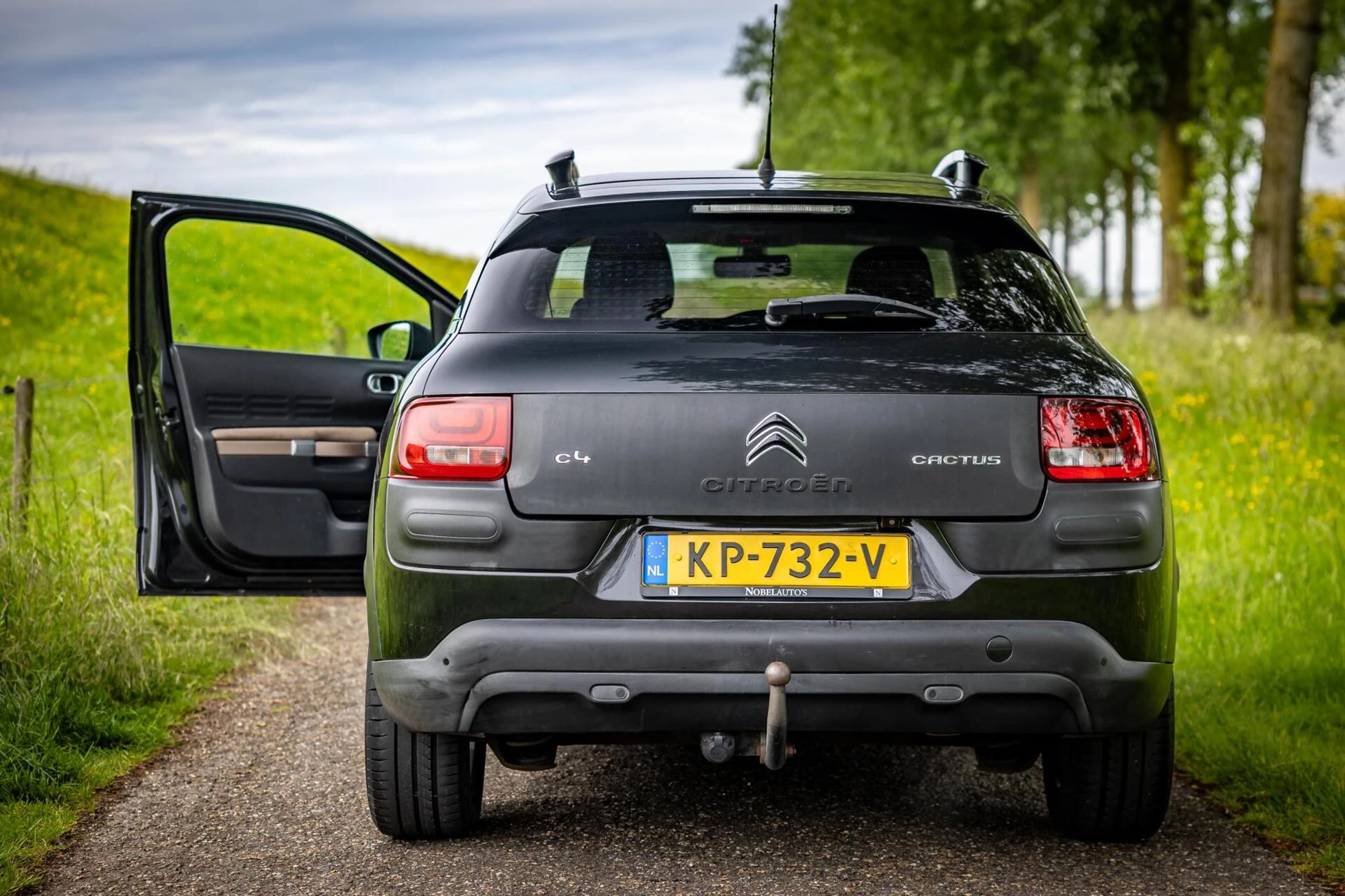 Hoofdafbeelding Citroën C4 Cactus