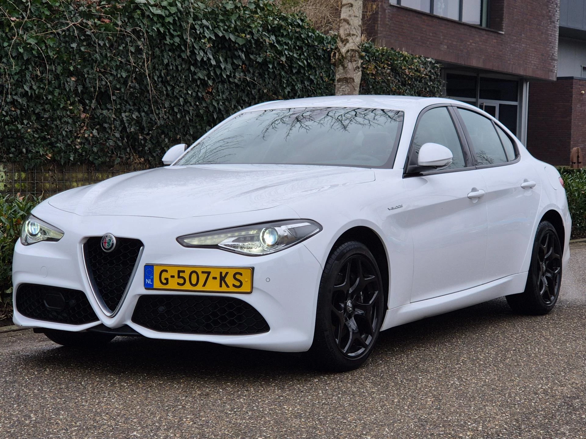 Hoofdafbeelding Alfa Romeo Giulia