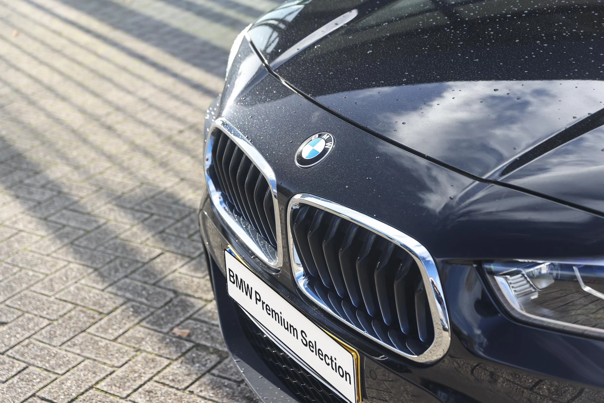 Hoofdafbeelding BMW X2