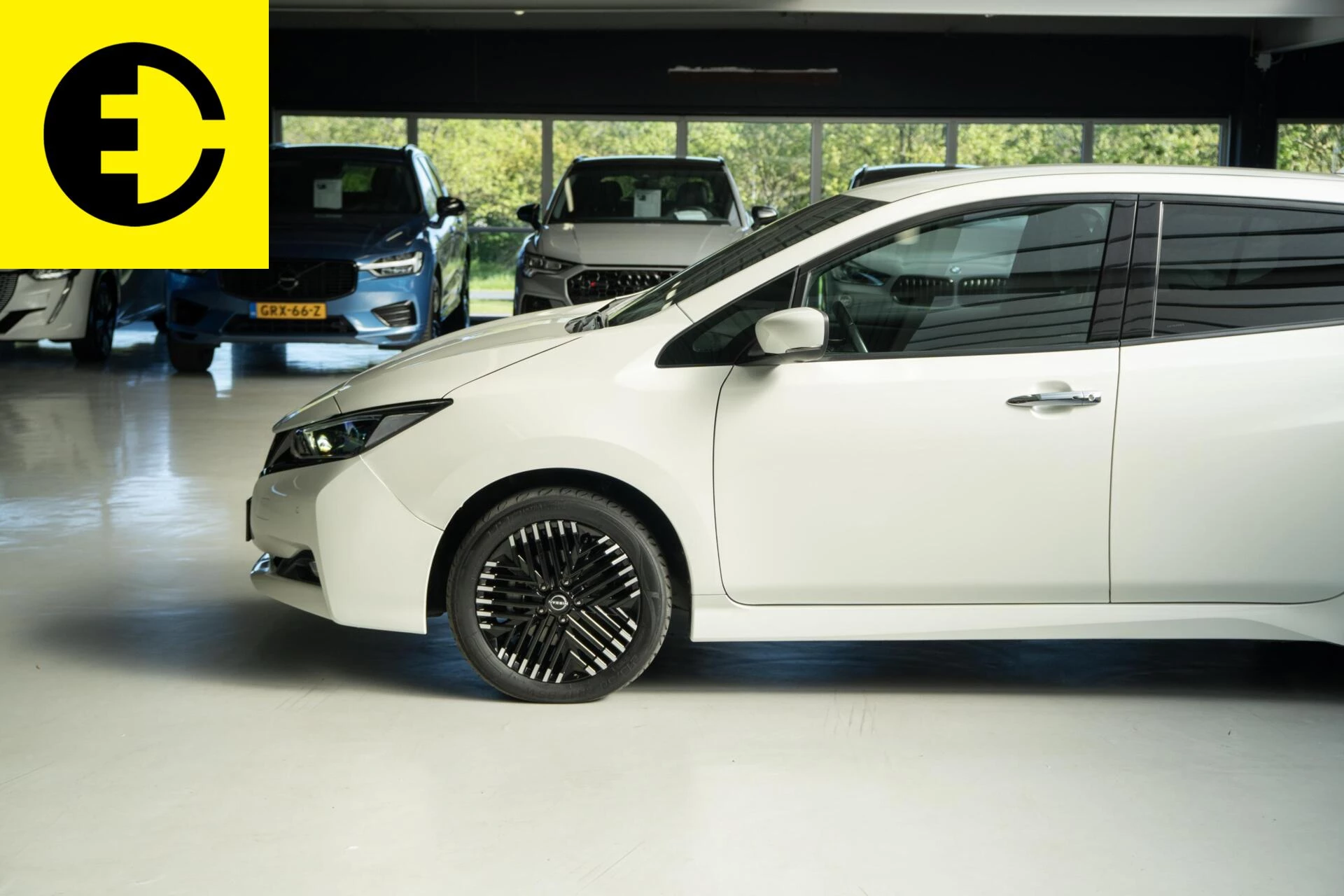 Hoofdafbeelding Nissan Leaf