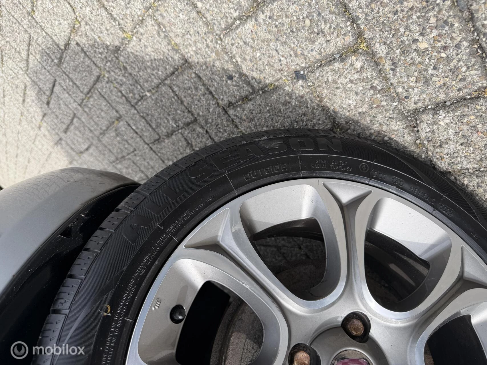 Hoofdafbeelding Fiat Punto