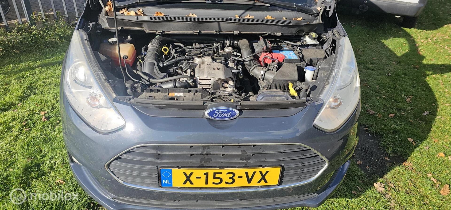 Hoofdafbeelding Ford B-MAX