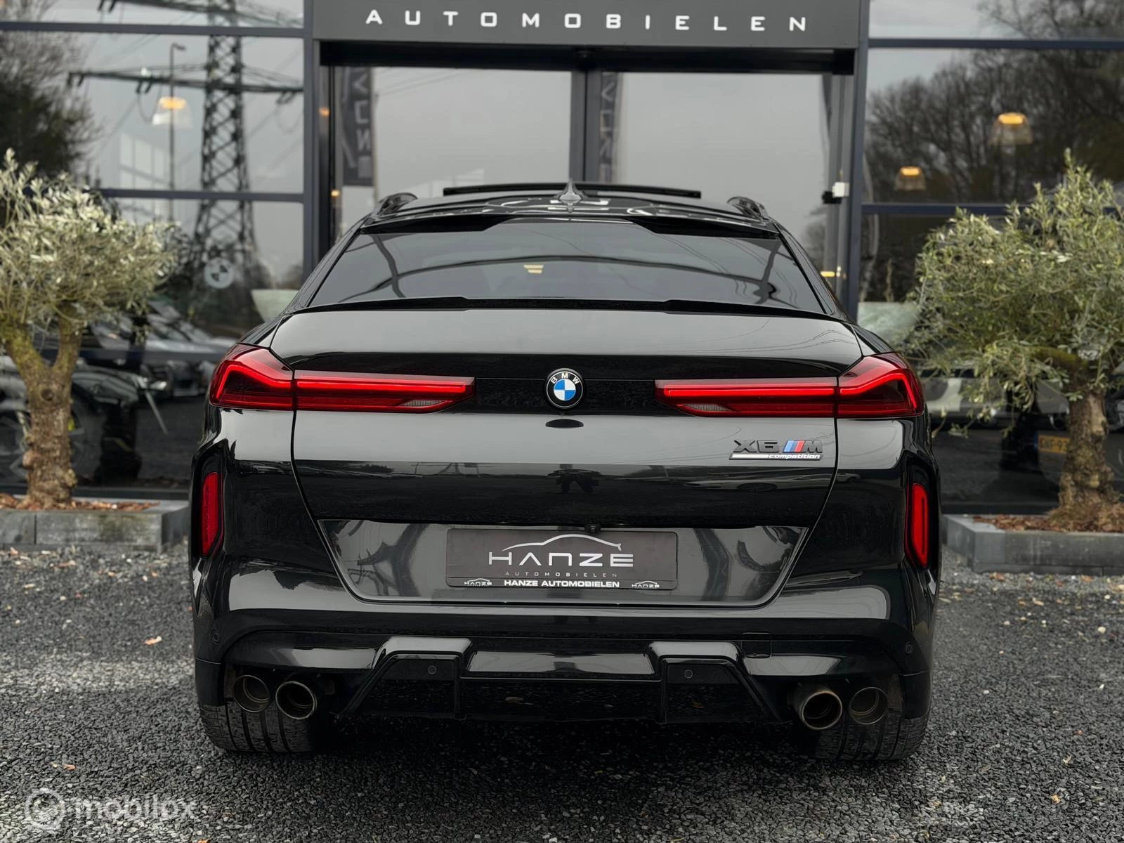 Hoofdafbeelding BMW X6