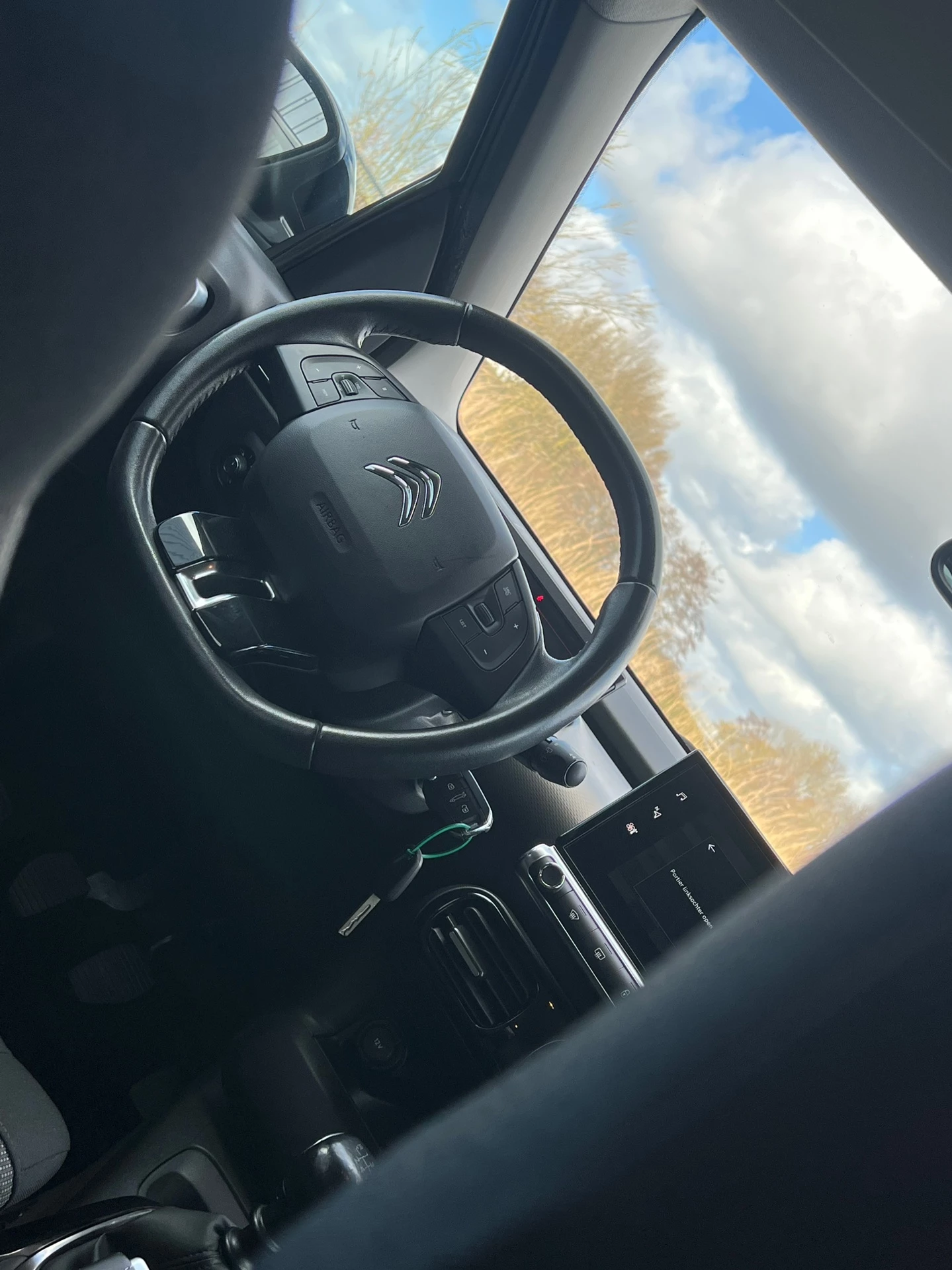 Hoofdafbeelding Citroën C4 Cactus