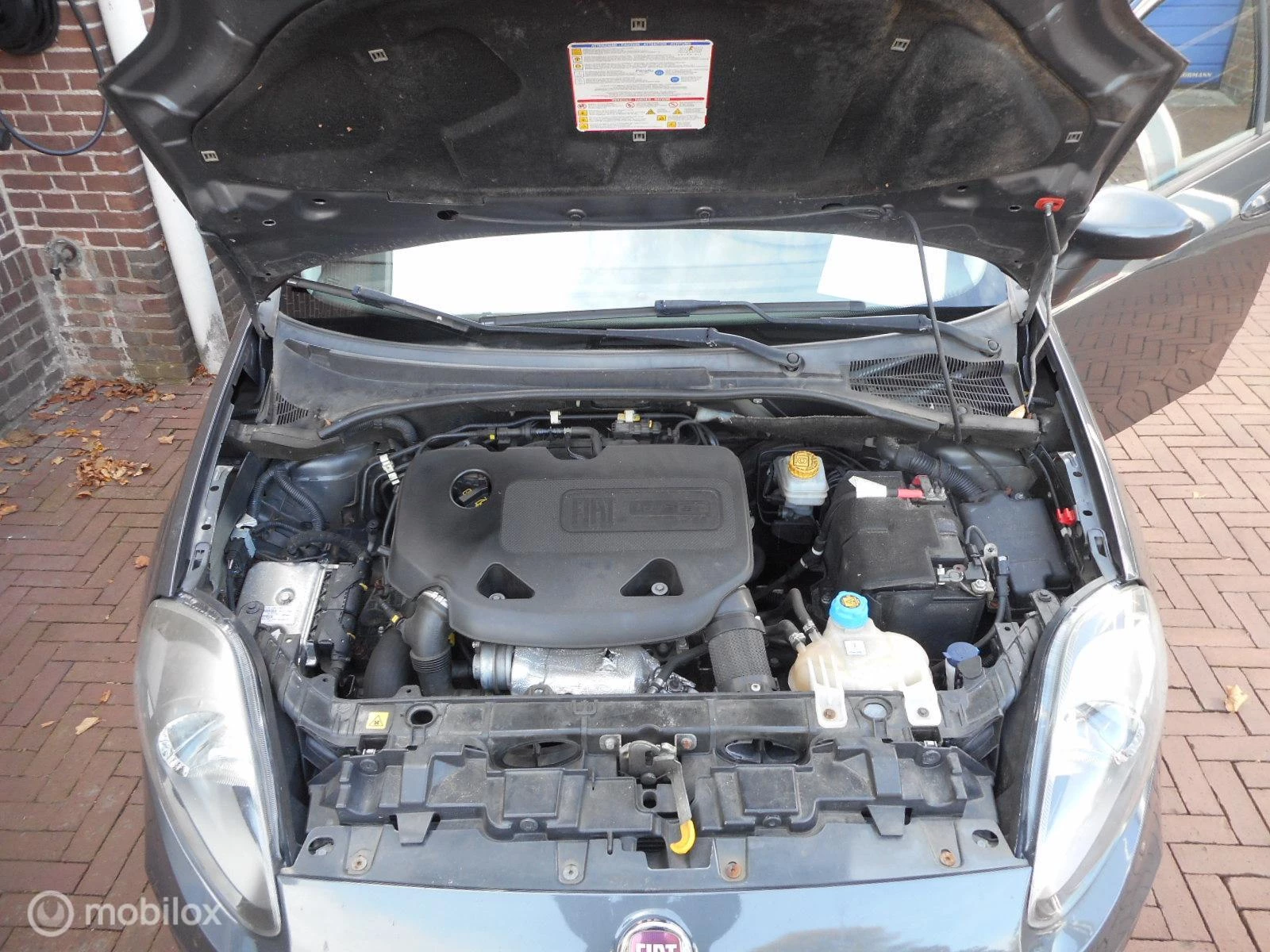 Hoofdafbeelding Fiat Punto