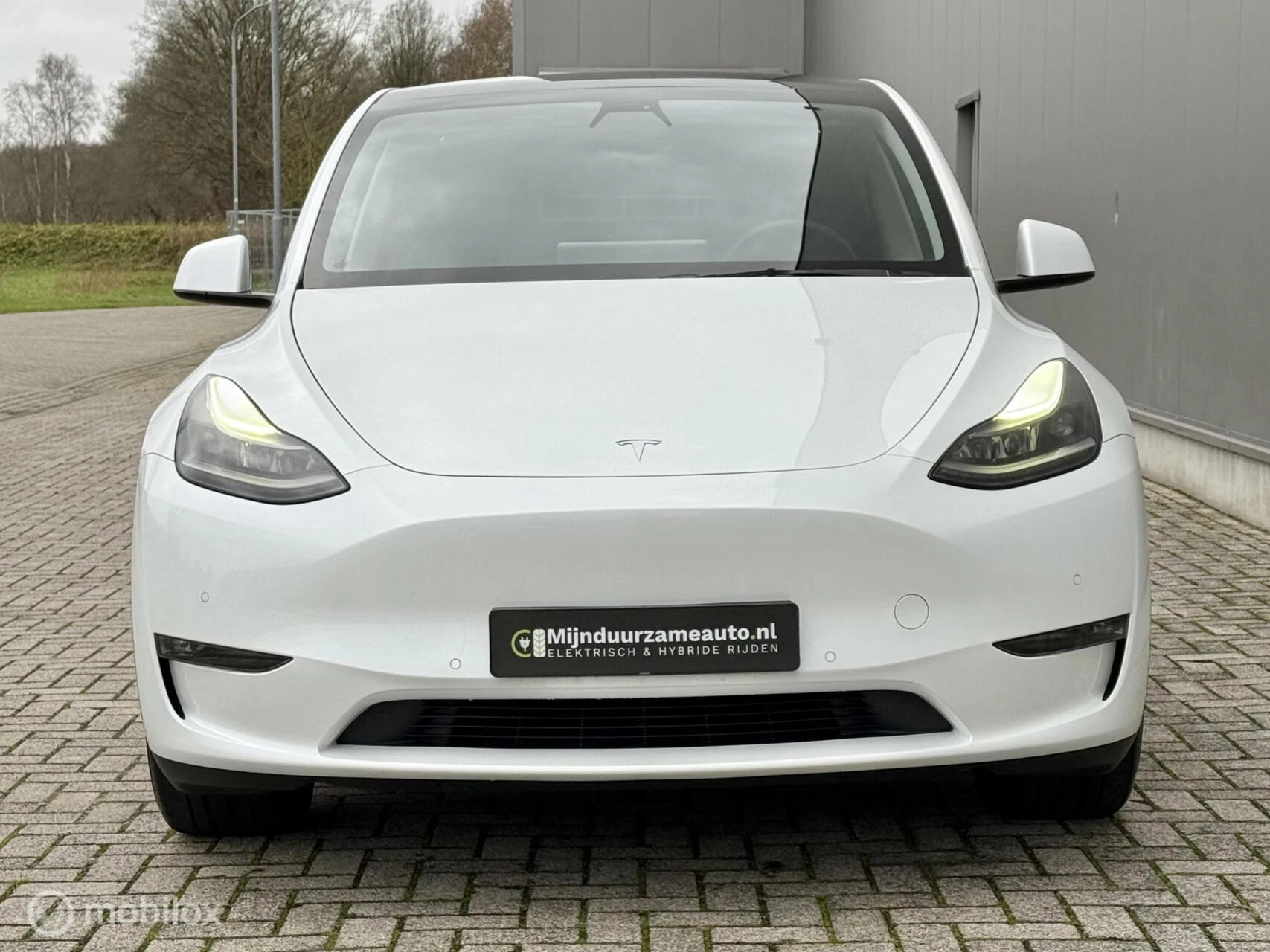 Hoofdafbeelding Tesla Model Y