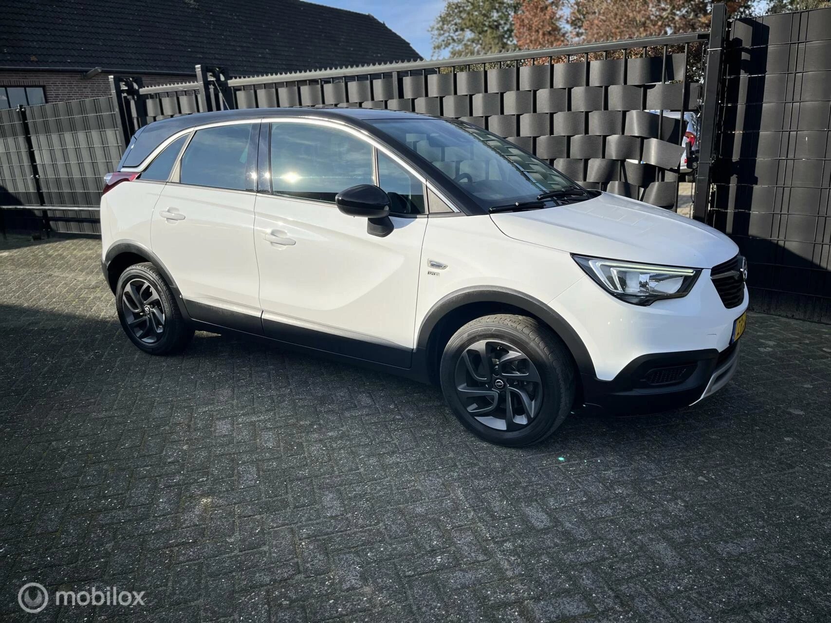 Hoofdafbeelding Opel Crossland X