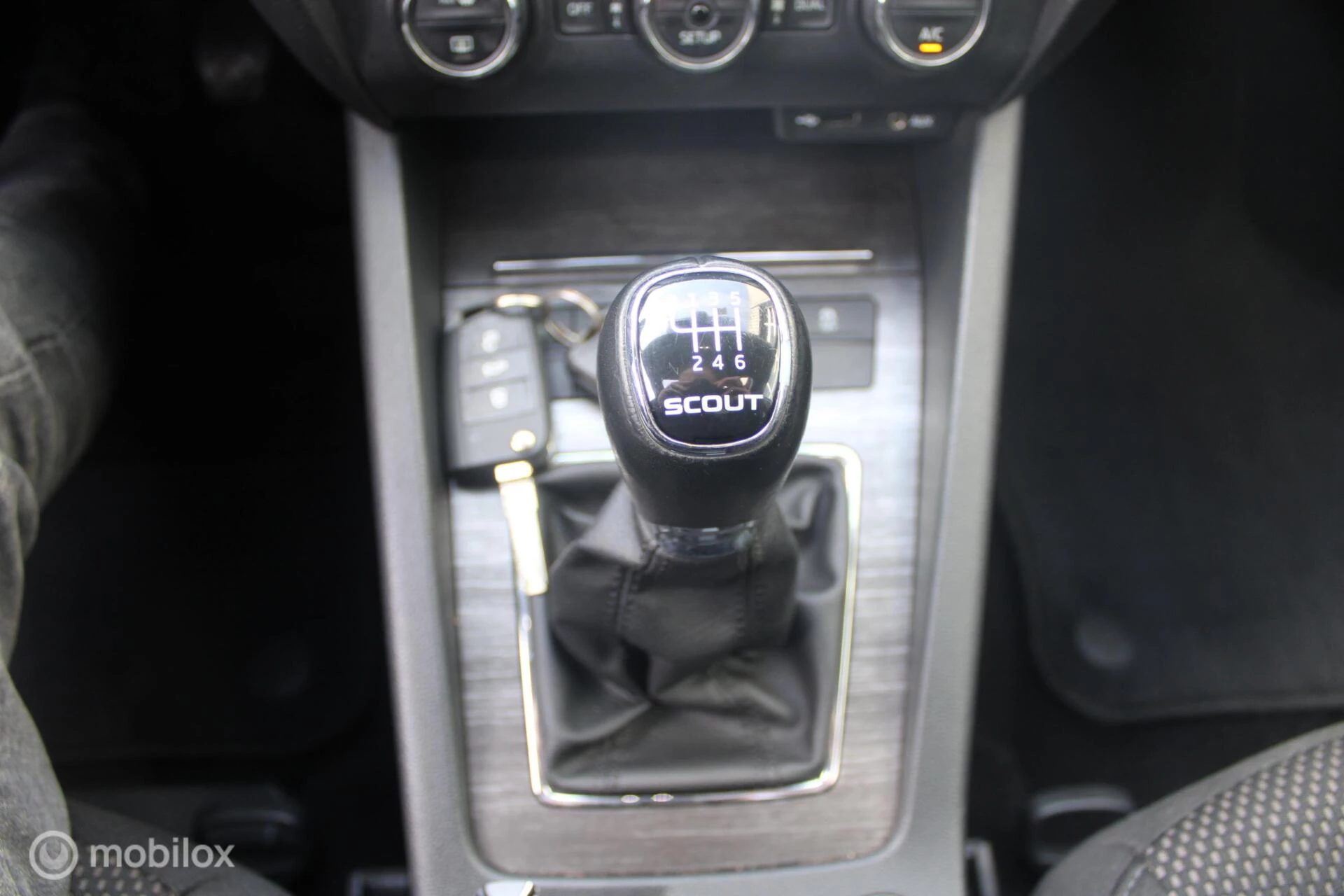 Hoofdafbeelding Škoda Octavia