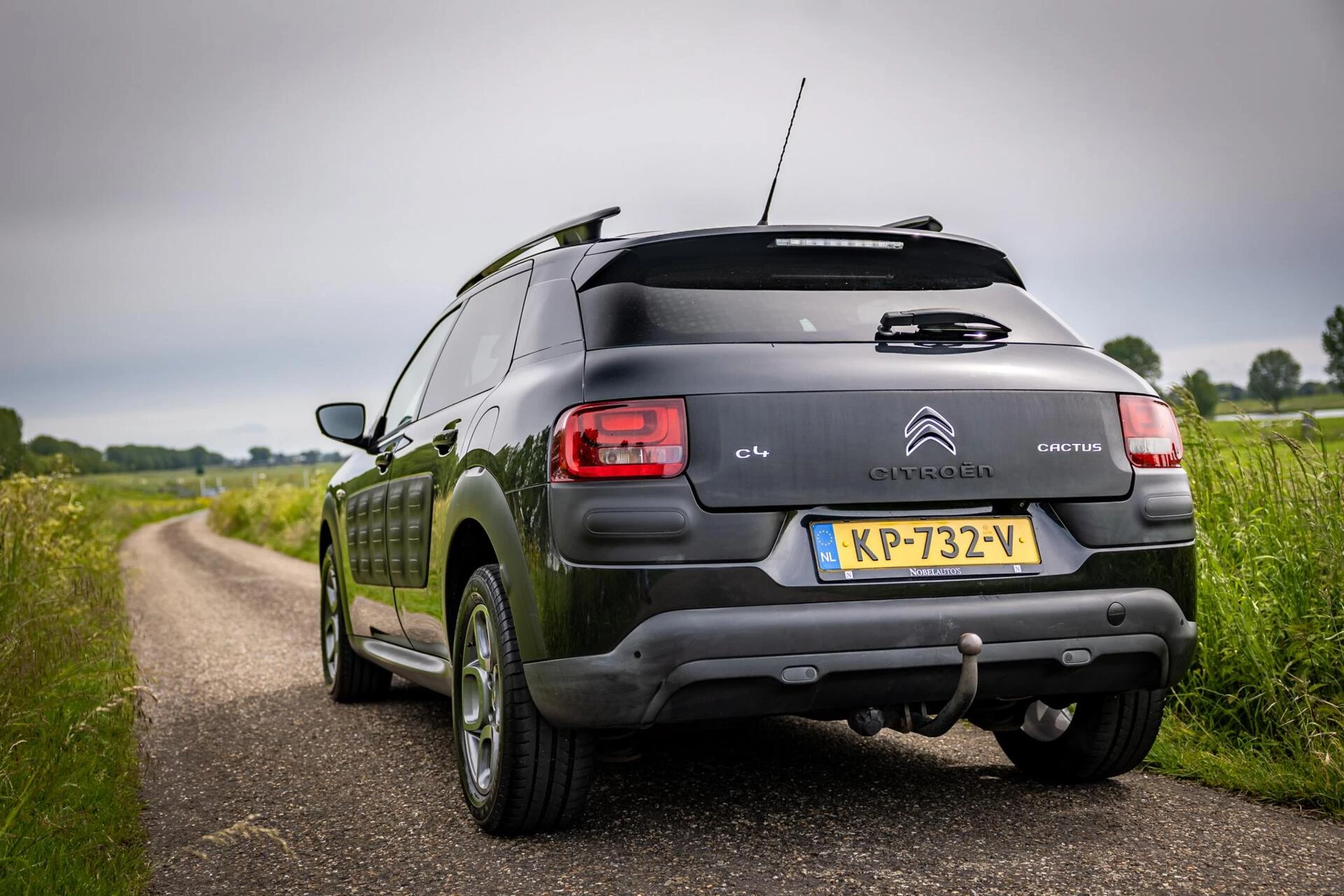 Hoofdafbeelding Citroën C4 Cactus