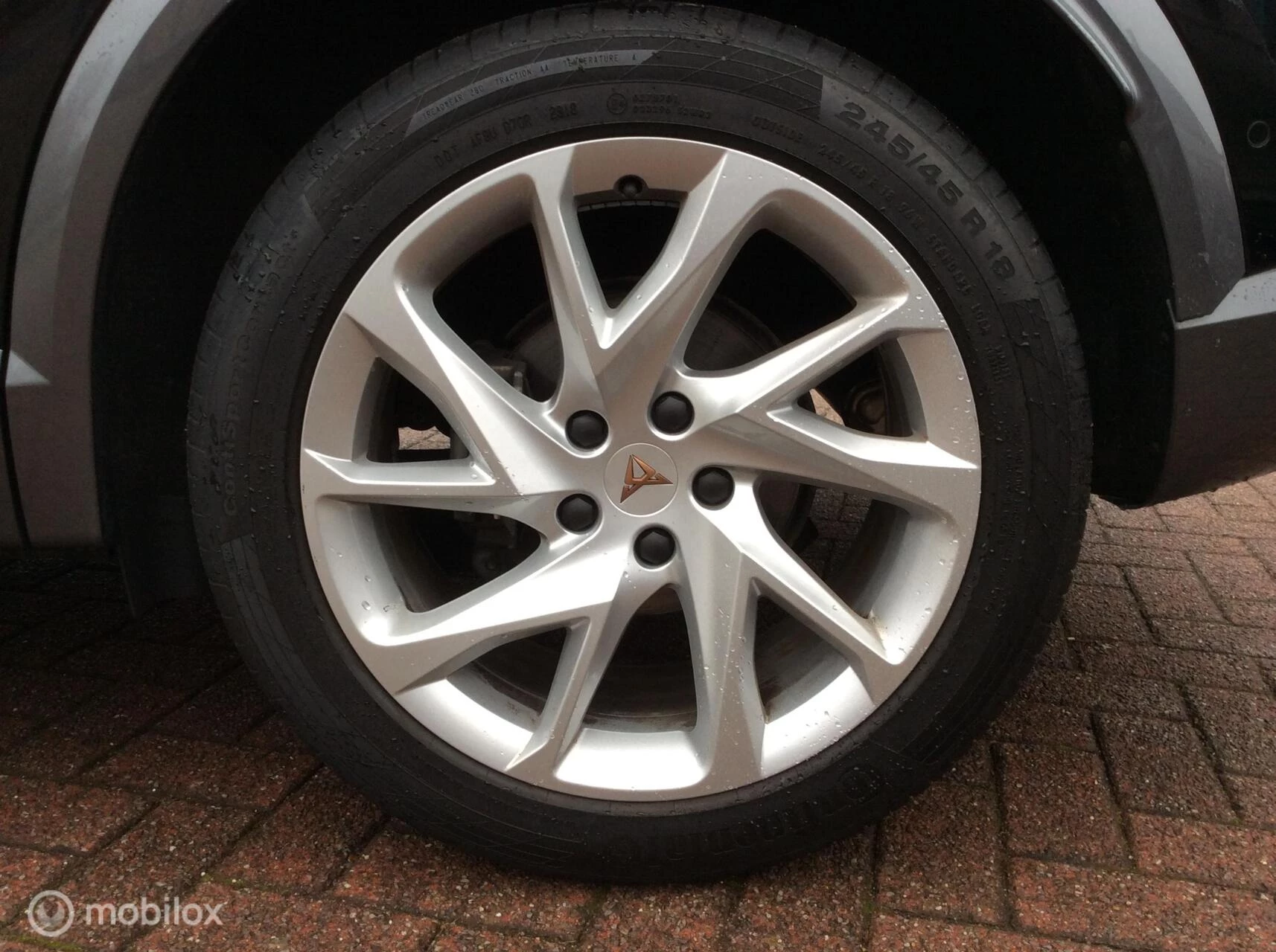 Hoofdafbeelding CUPRA Formentor