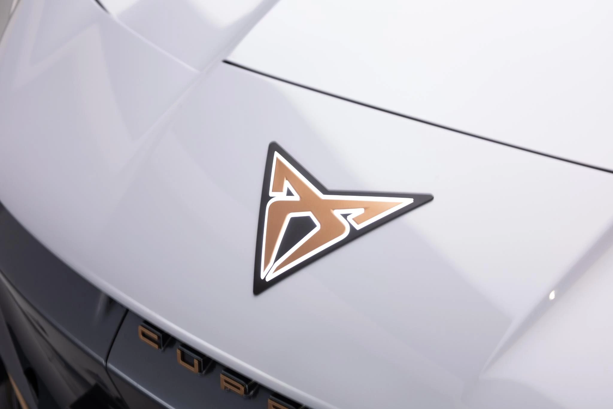 Hoofdafbeelding CUPRA Tavascan
