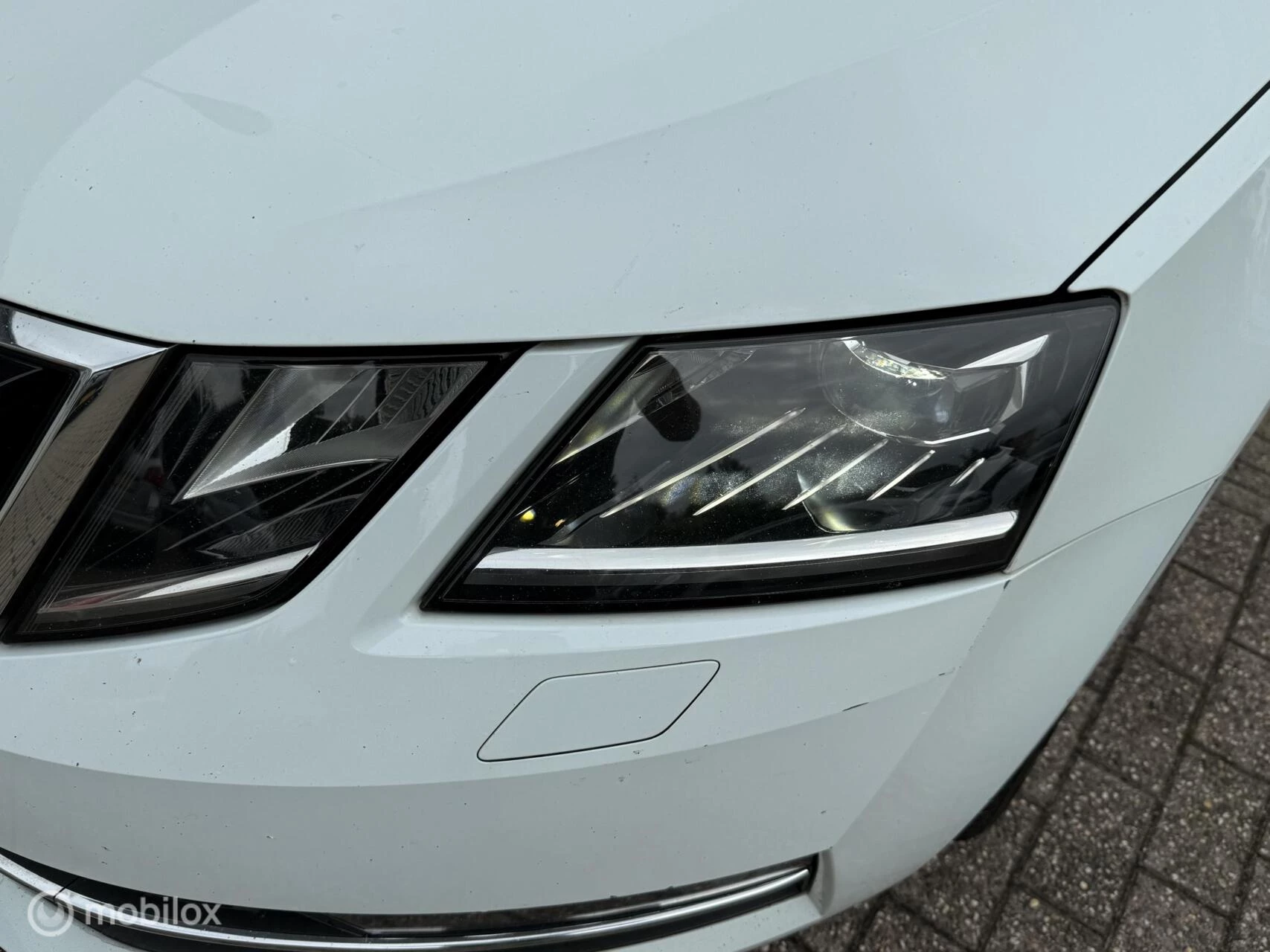 Hoofdafbeelding Škoda Octavia