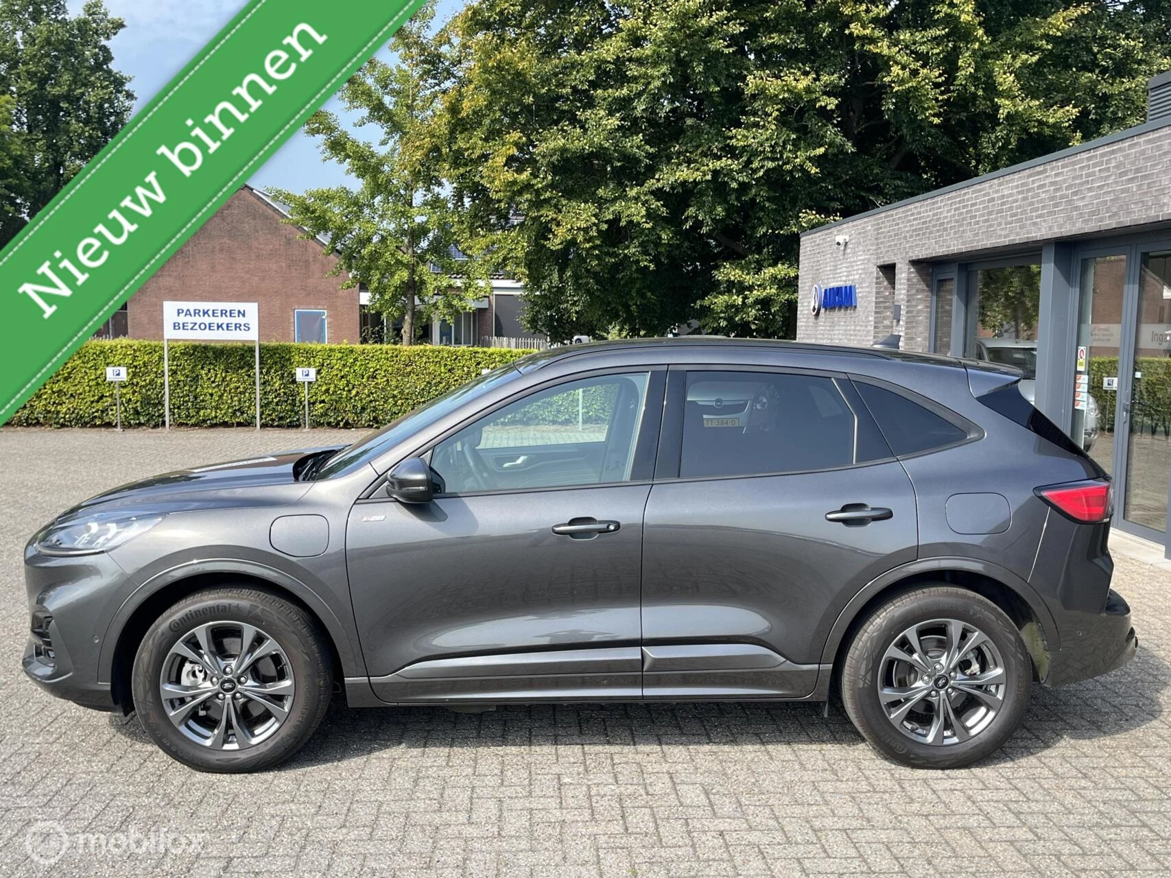 Hoofdafbeelding Ford Kuga